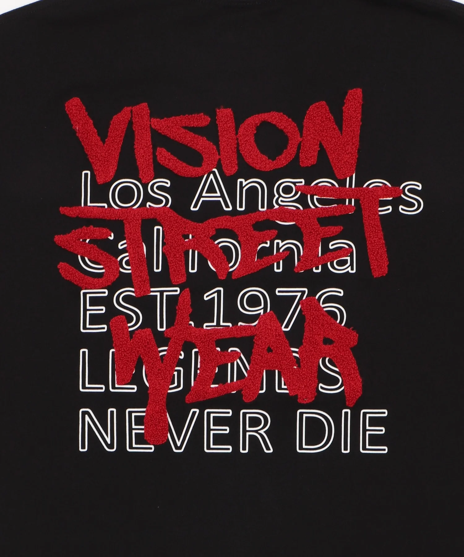 VISIONサガラシシュウT - Image 19