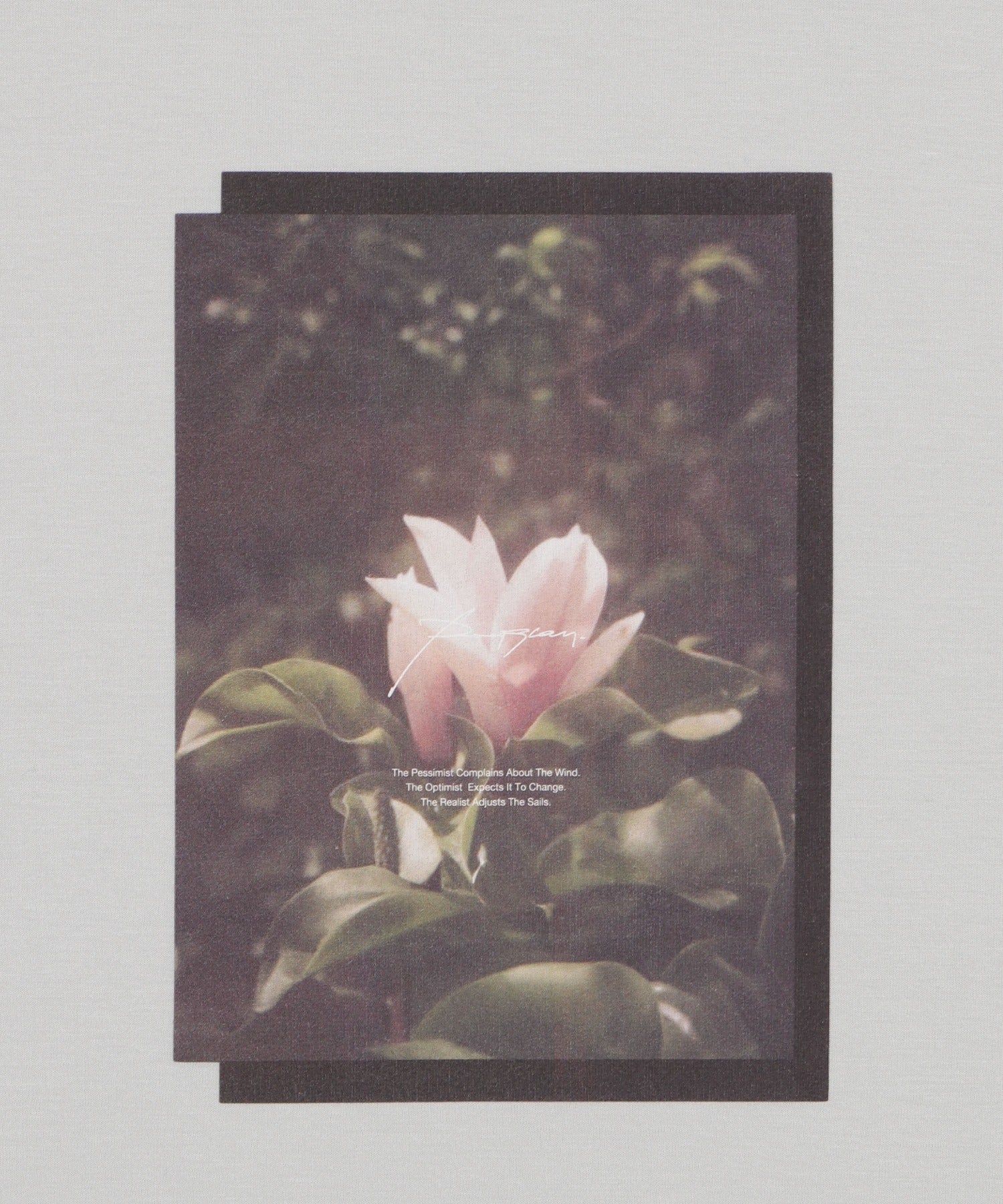 アクセ付きフォトグラフィックT（SS） - Image 46