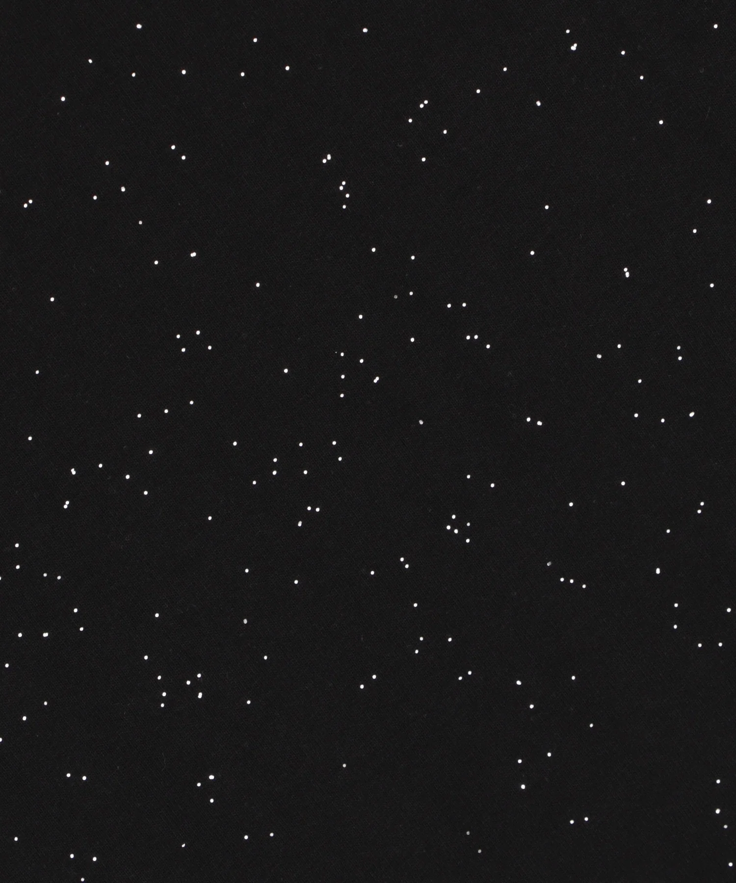 ラメグラフィックT（SS） - Image 32