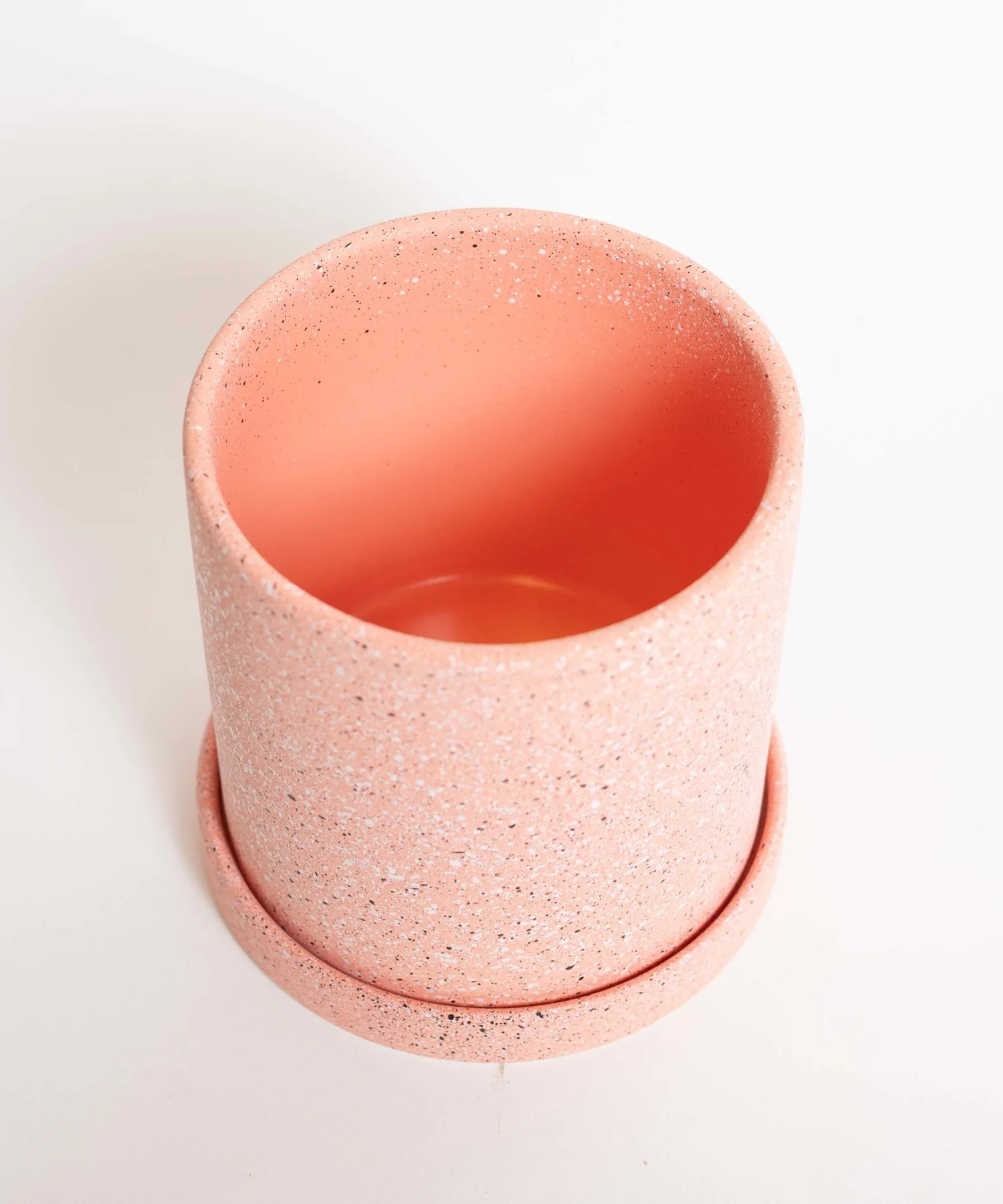 フラワーベース9 - Image 8