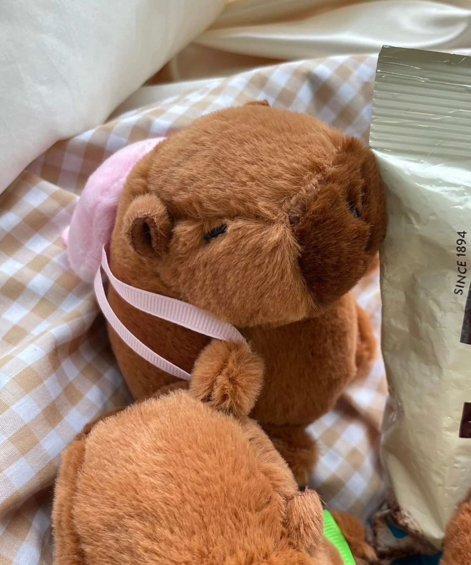 リュックカピバラぬいぐるみキーホルダー - Image 13