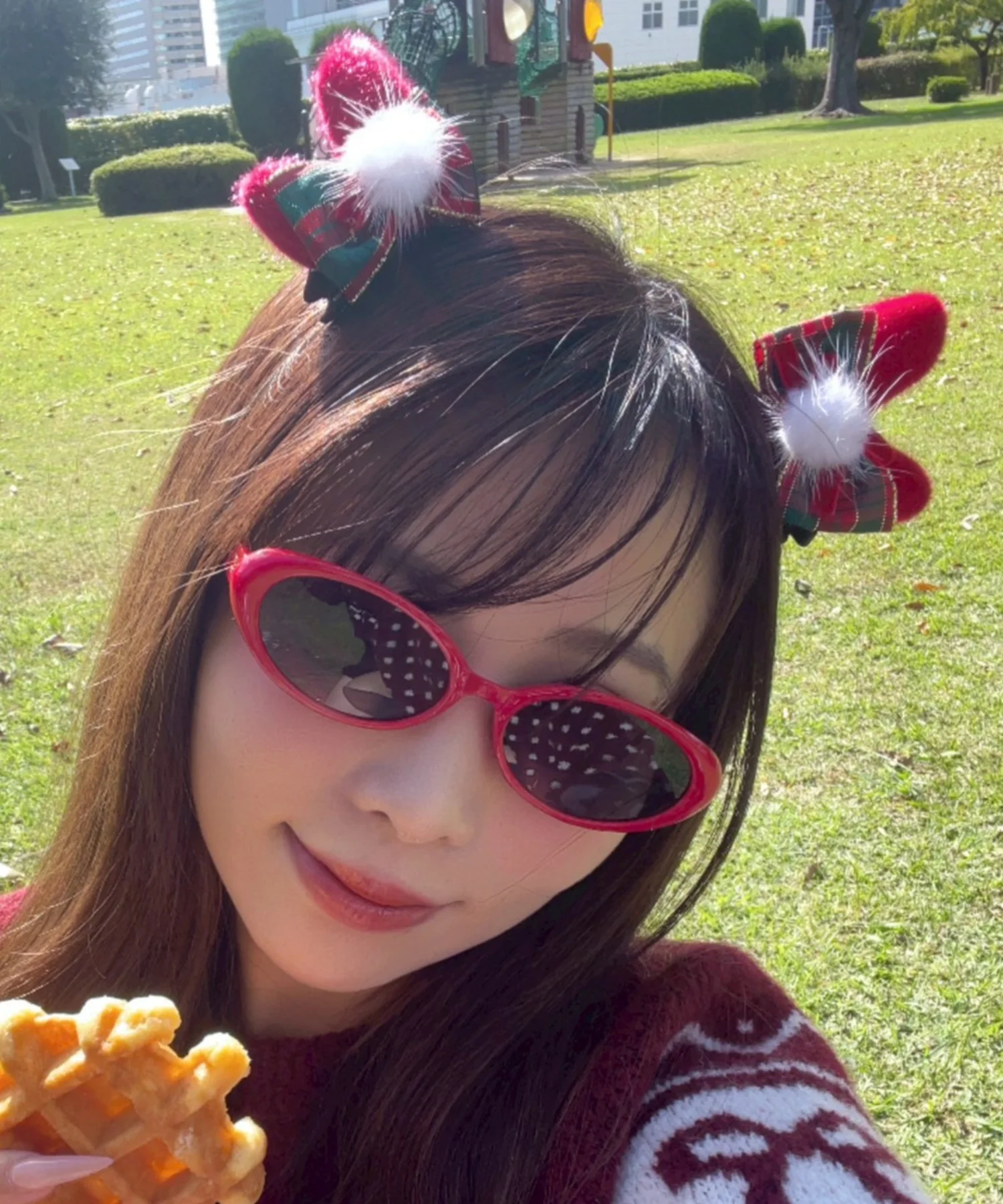 クリスマス2pミニピン - Image 2