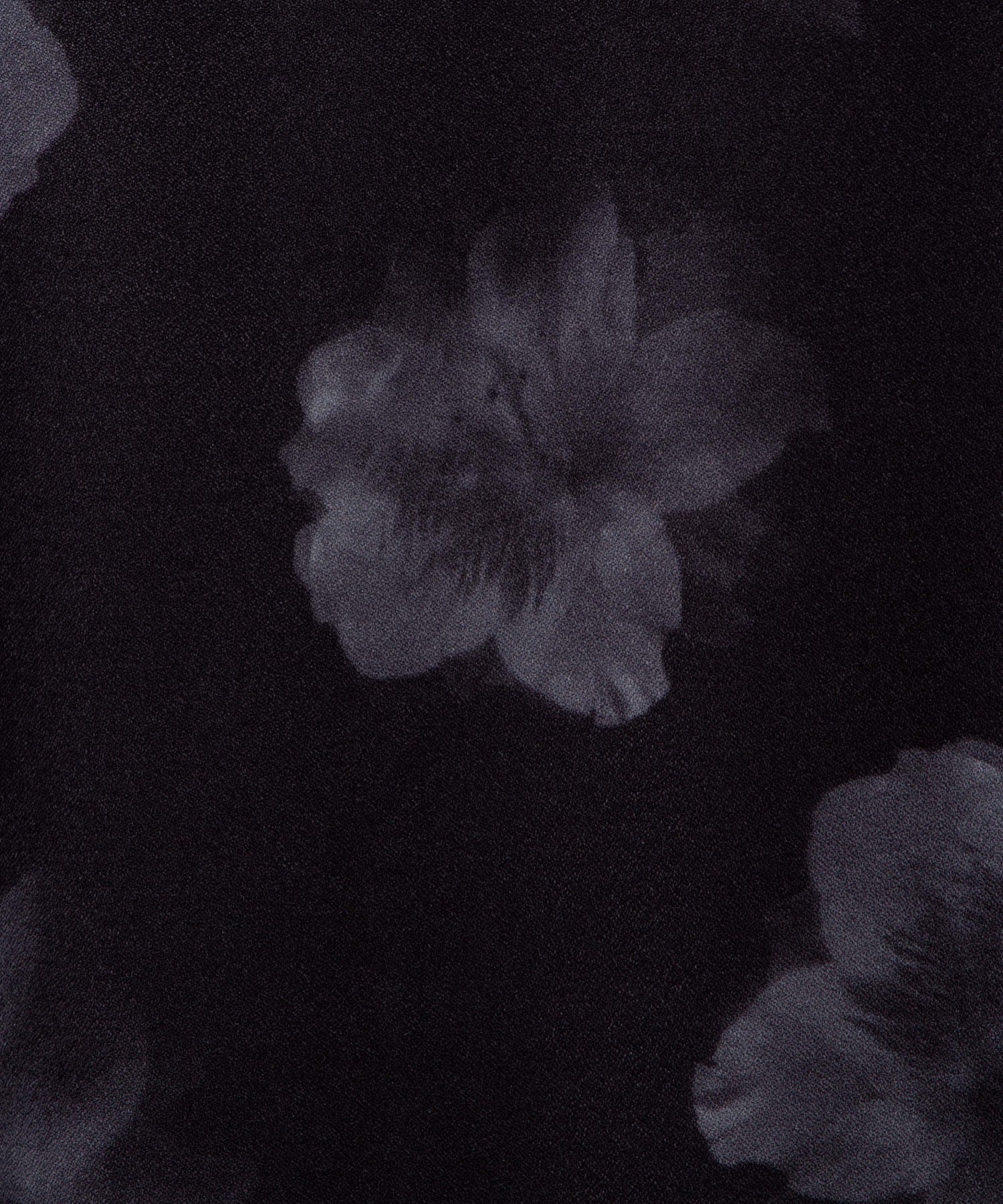 アムンゼン総柄BIGシャツ - Image 99