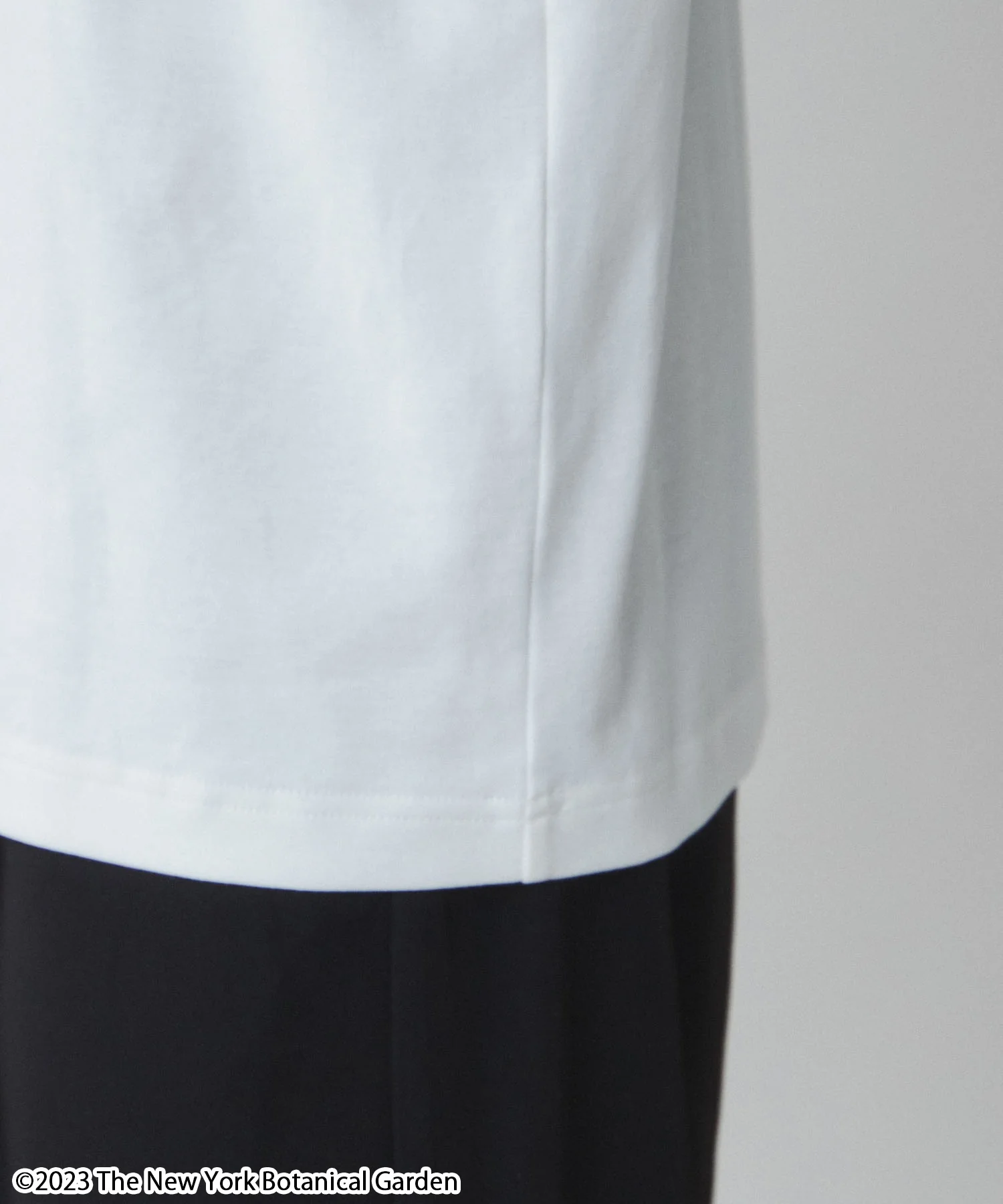 NYBG|別注グラフィックT - Image 11
