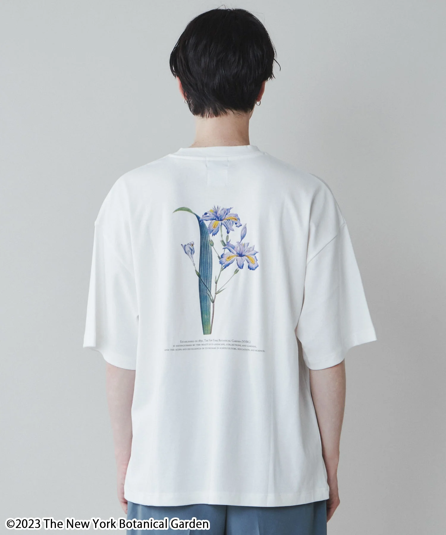 NYBG|別注グラフィックT - Image 13