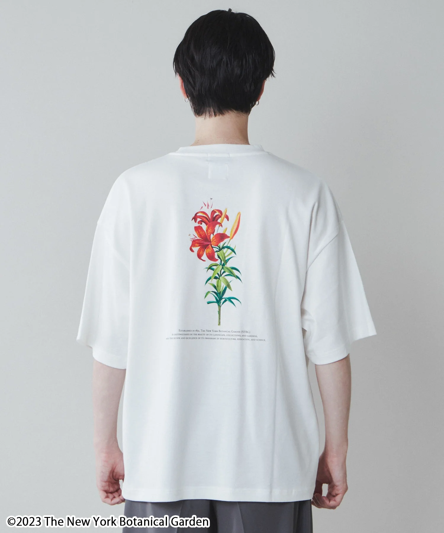 NYBG|別注グラフィックT - Image 18