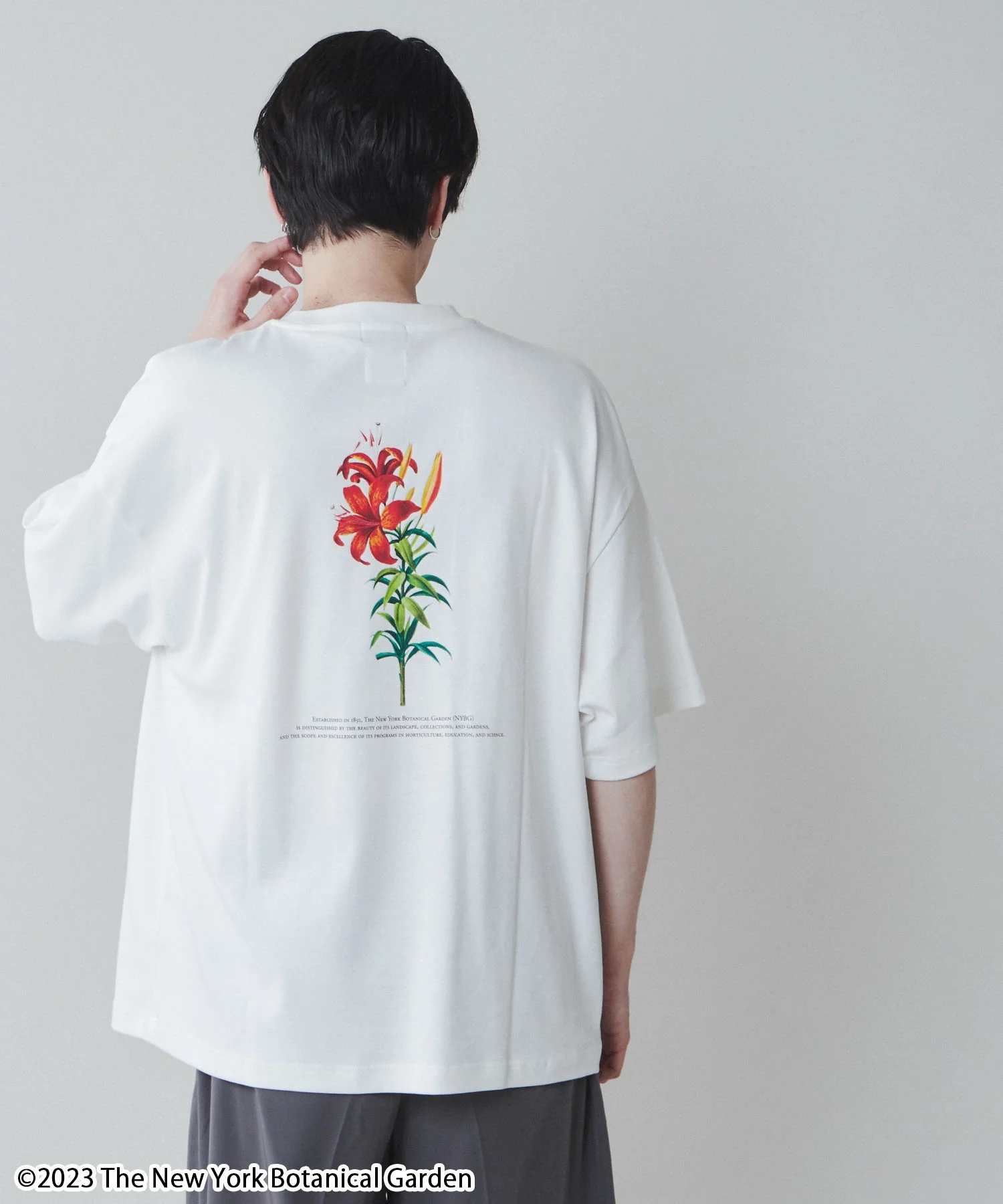 NYBG|別注グラフィックT - Image 2