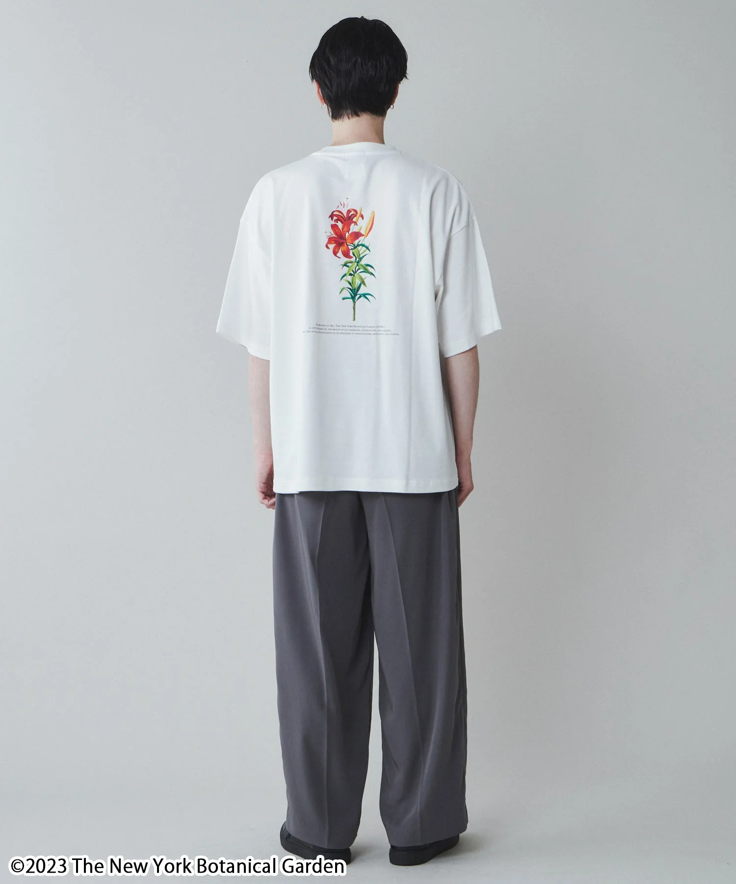 NYBG|別注グラフィックT - Image 21