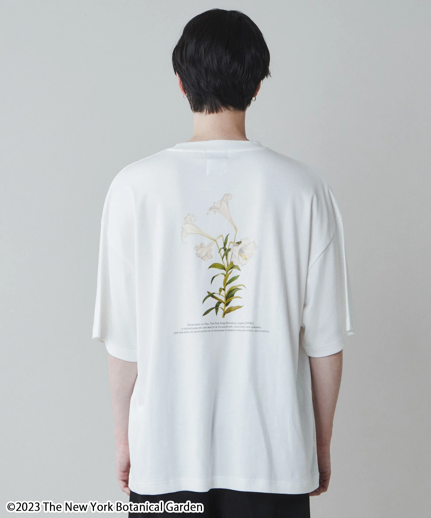 NYBG|別注グラフィックT - Image 23