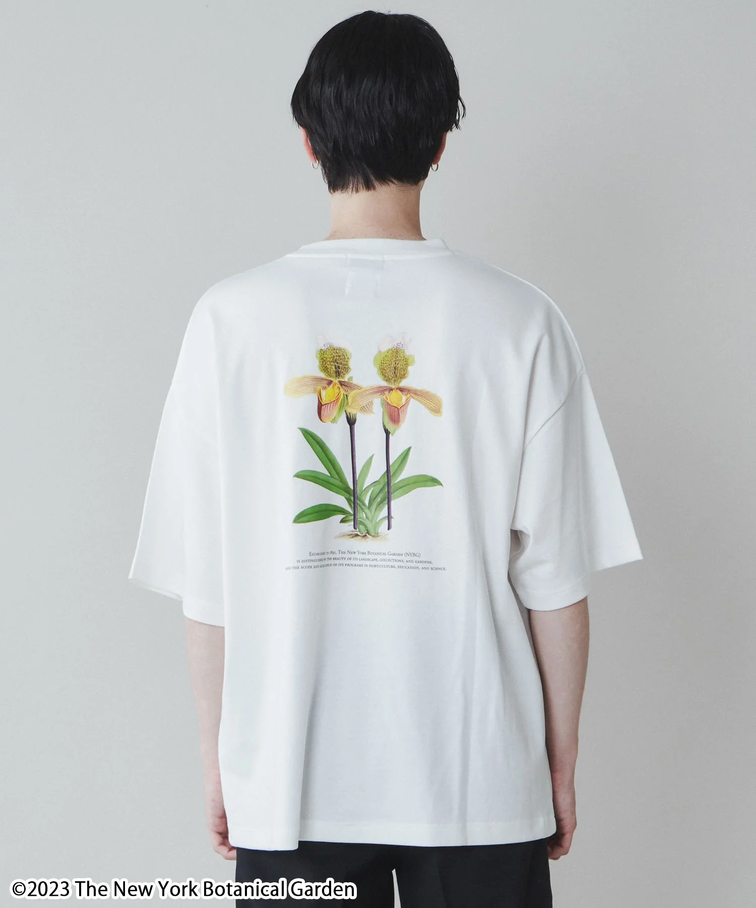 NYBG|別注グラフィックT - Image 28