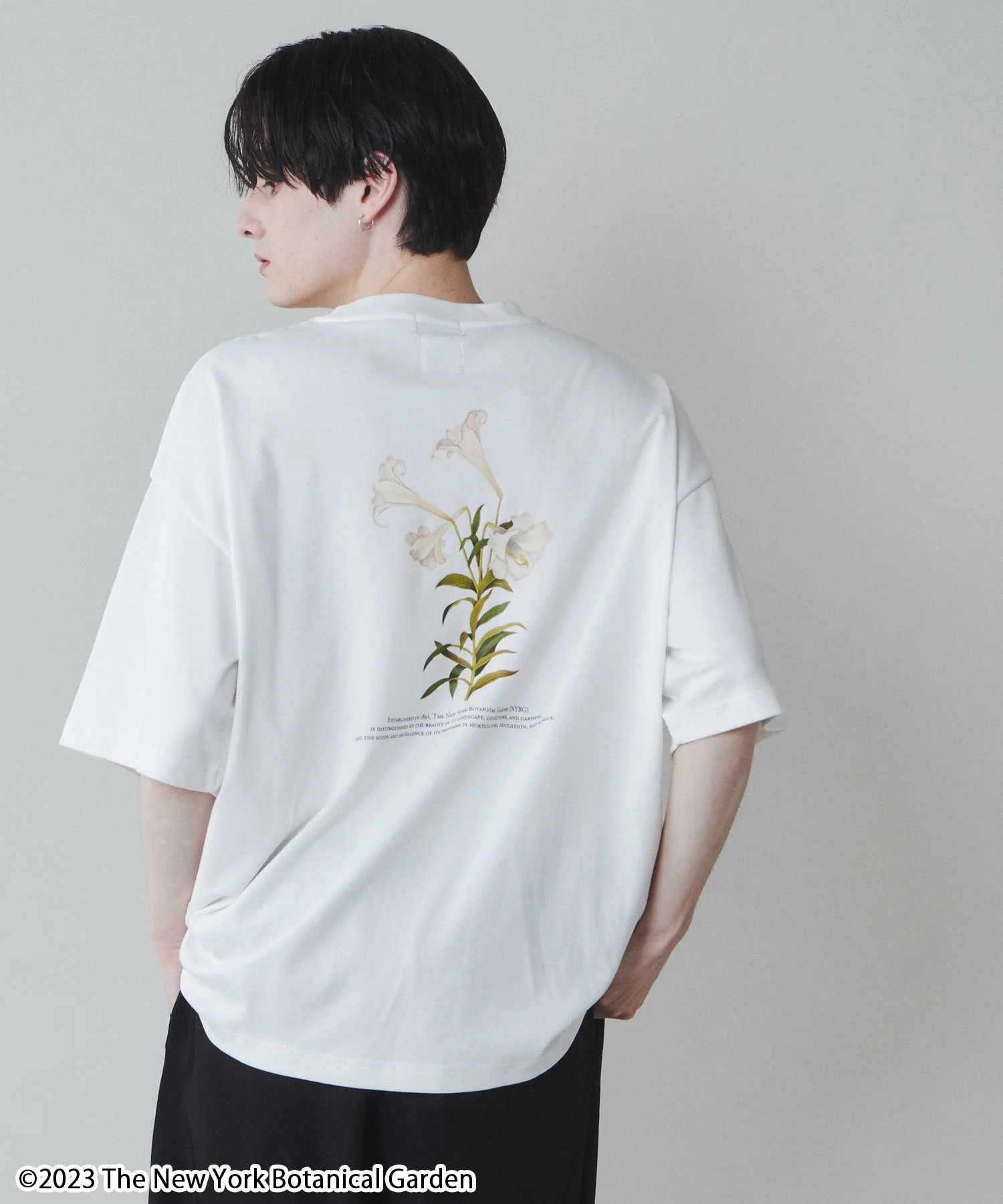 NYBG|別注グラフィックT - Image 3