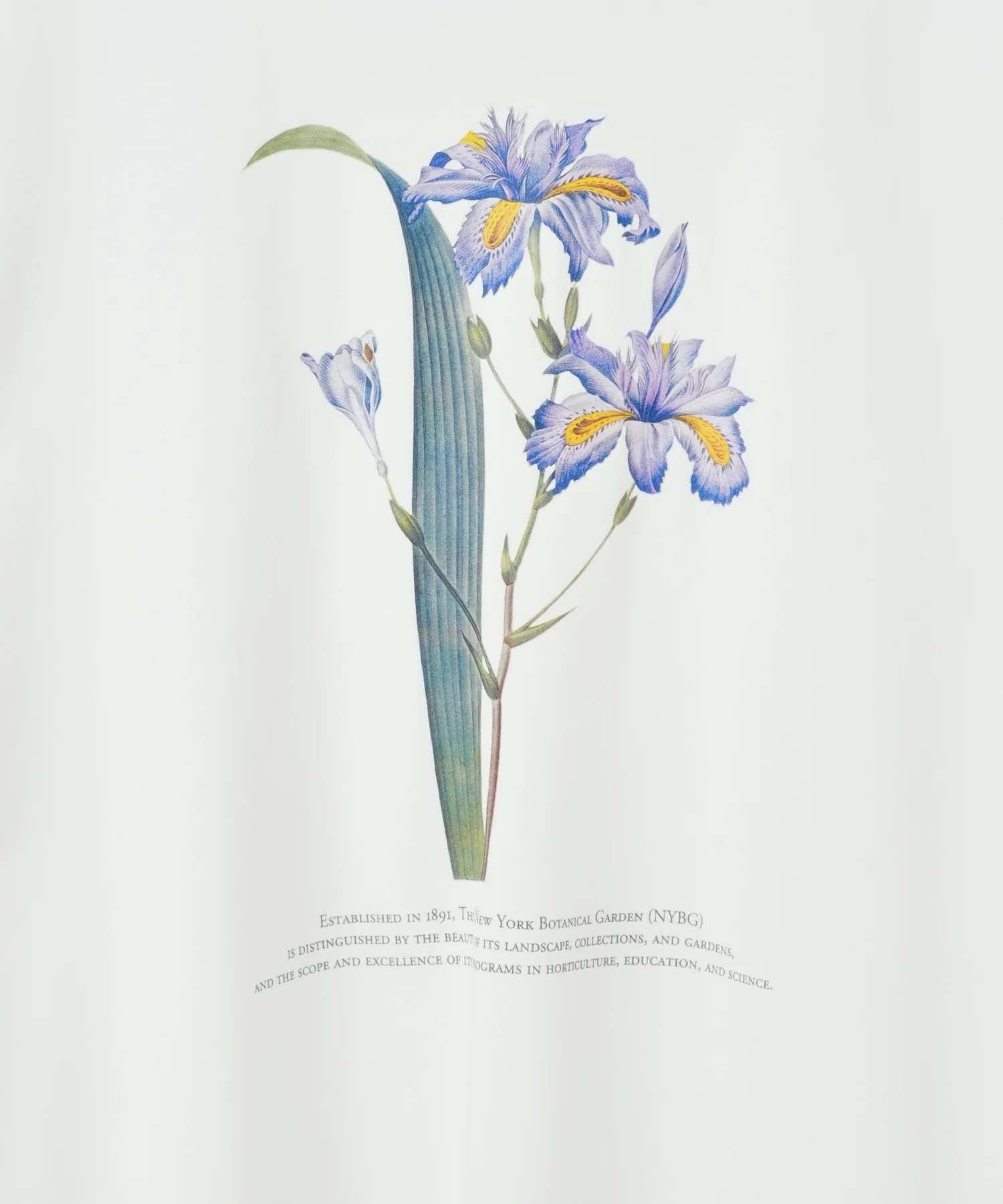 NYBG|別注グラフィックT - Image 34