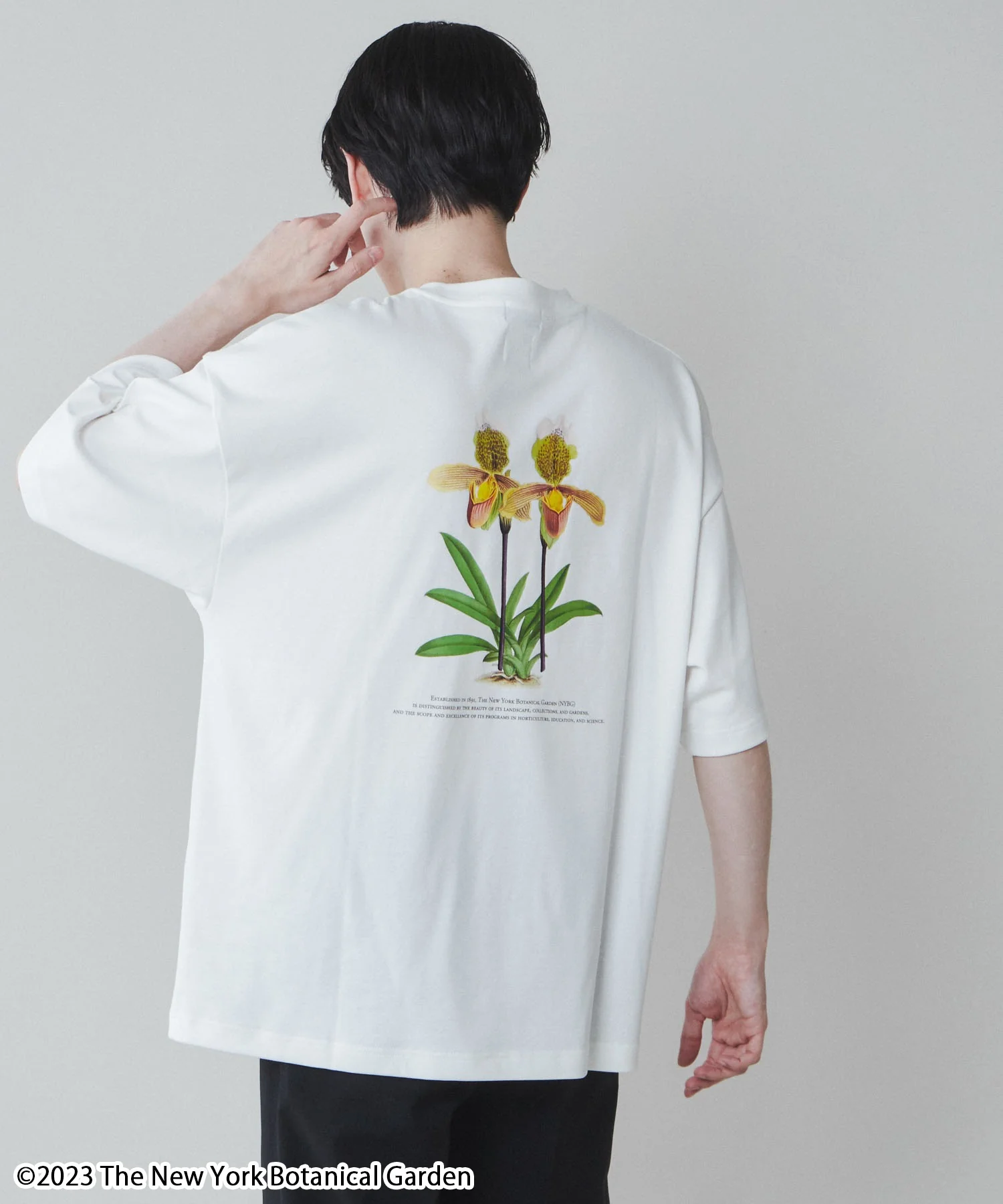 NYBG|別注グラフィックT - Image 4