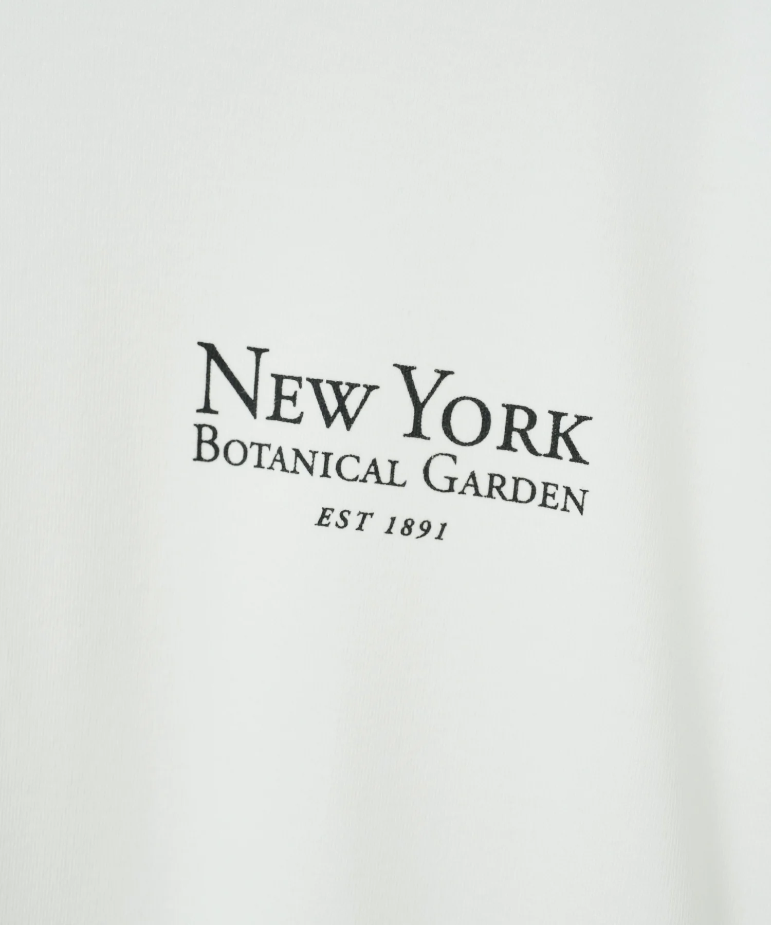 NYBG|別注グラフィックT - Image 45