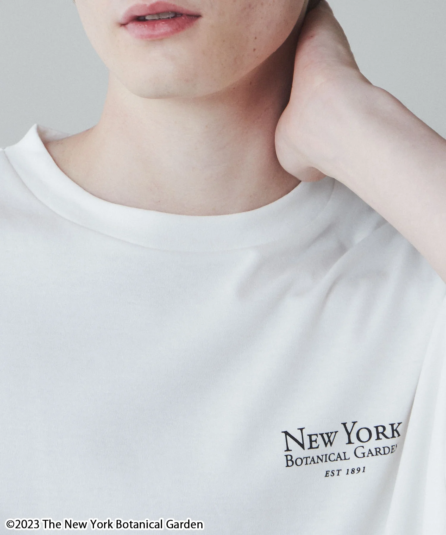 NYBG|別注グラフィックT - Image 9