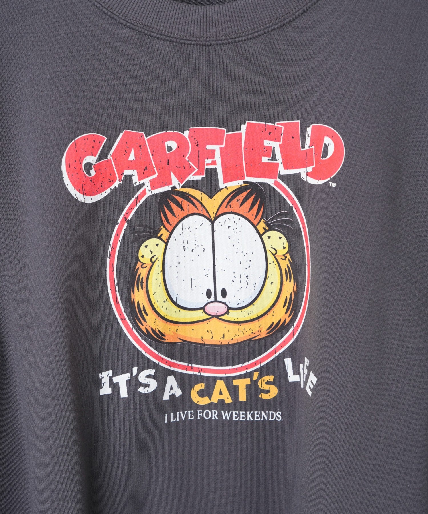 GARFIELD|別注プルオーバー - Image 32