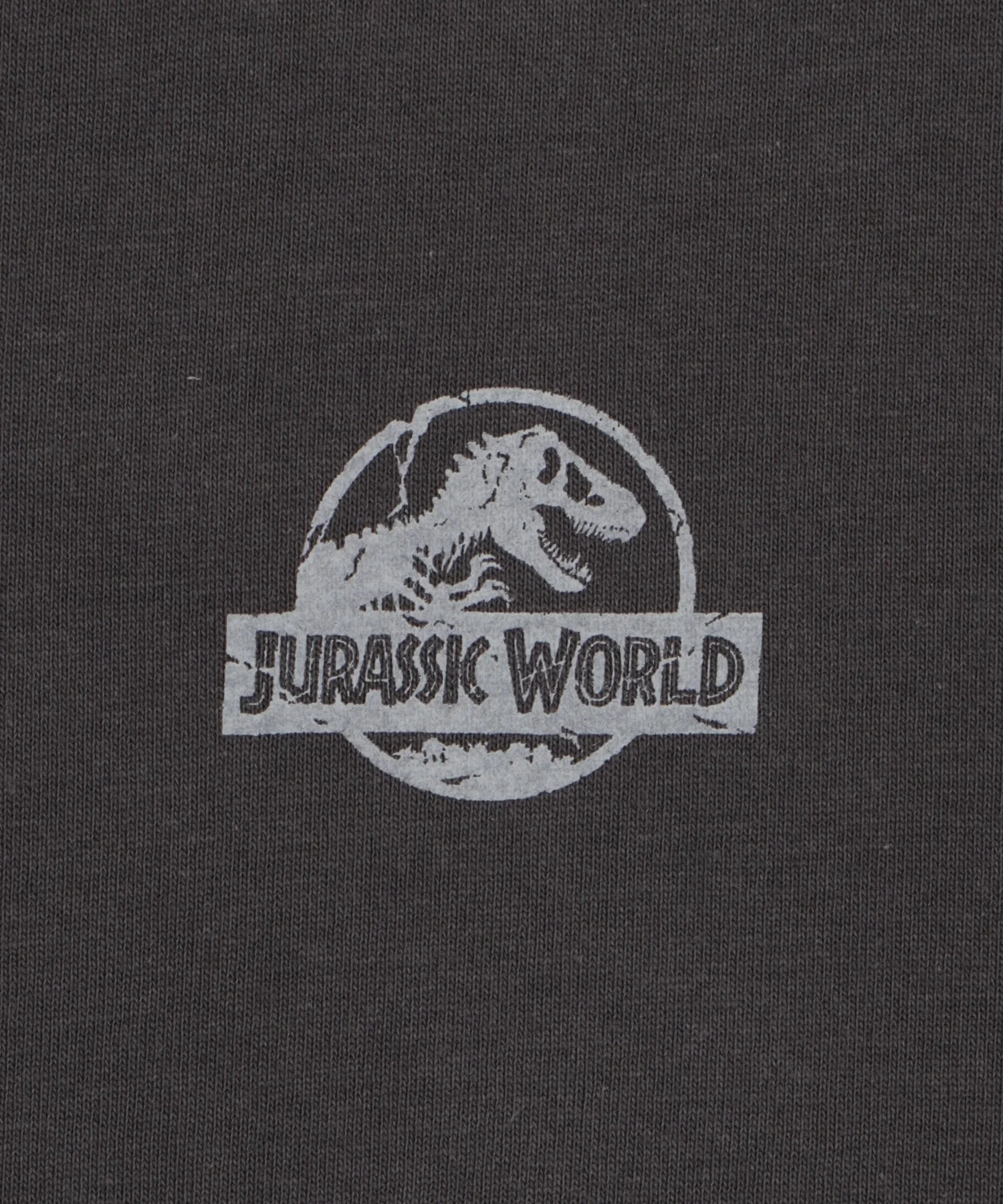 JURASSIC PARKグラフィックT(S) - Image 44