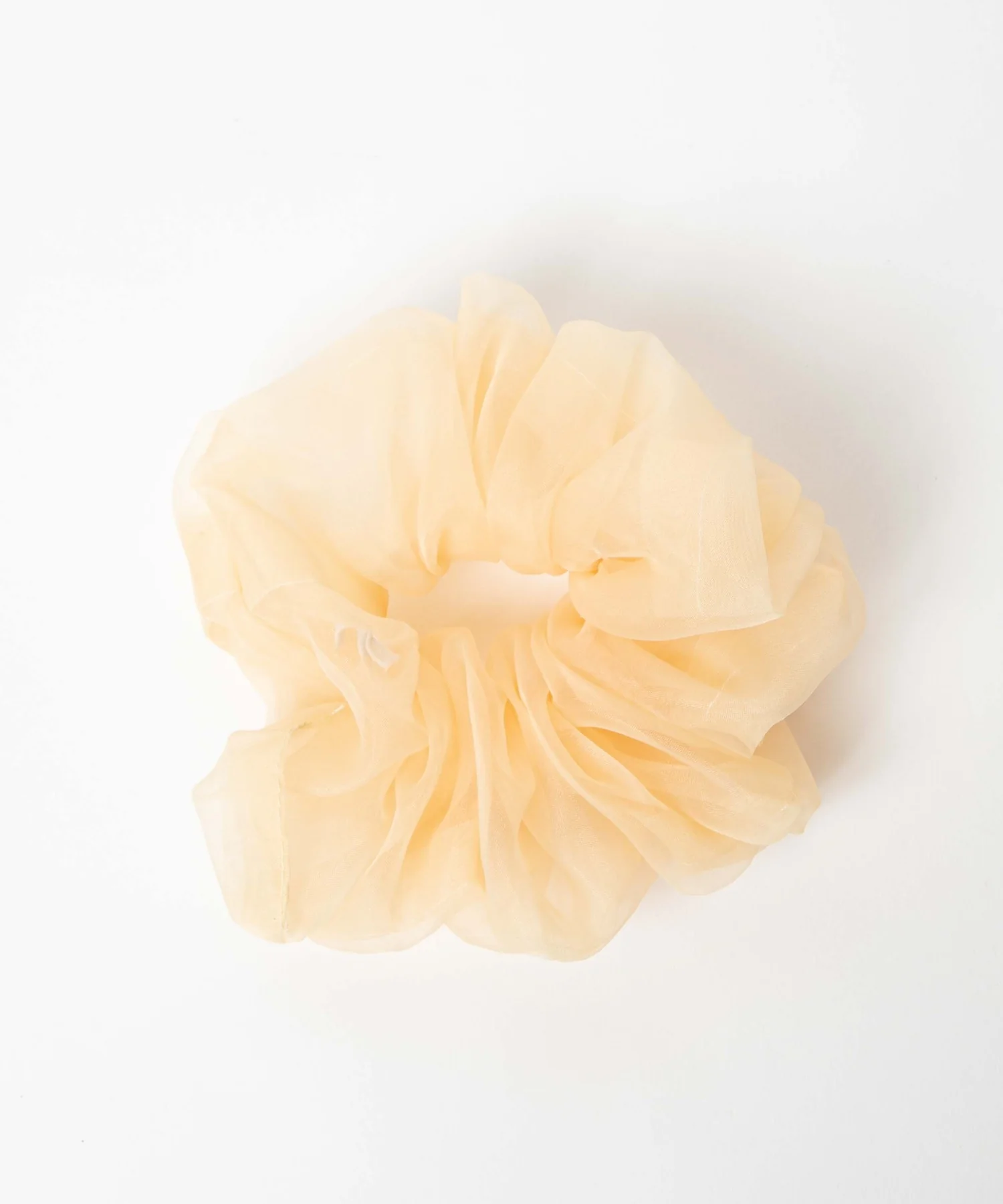 スケBIGシュシュ - Image 19