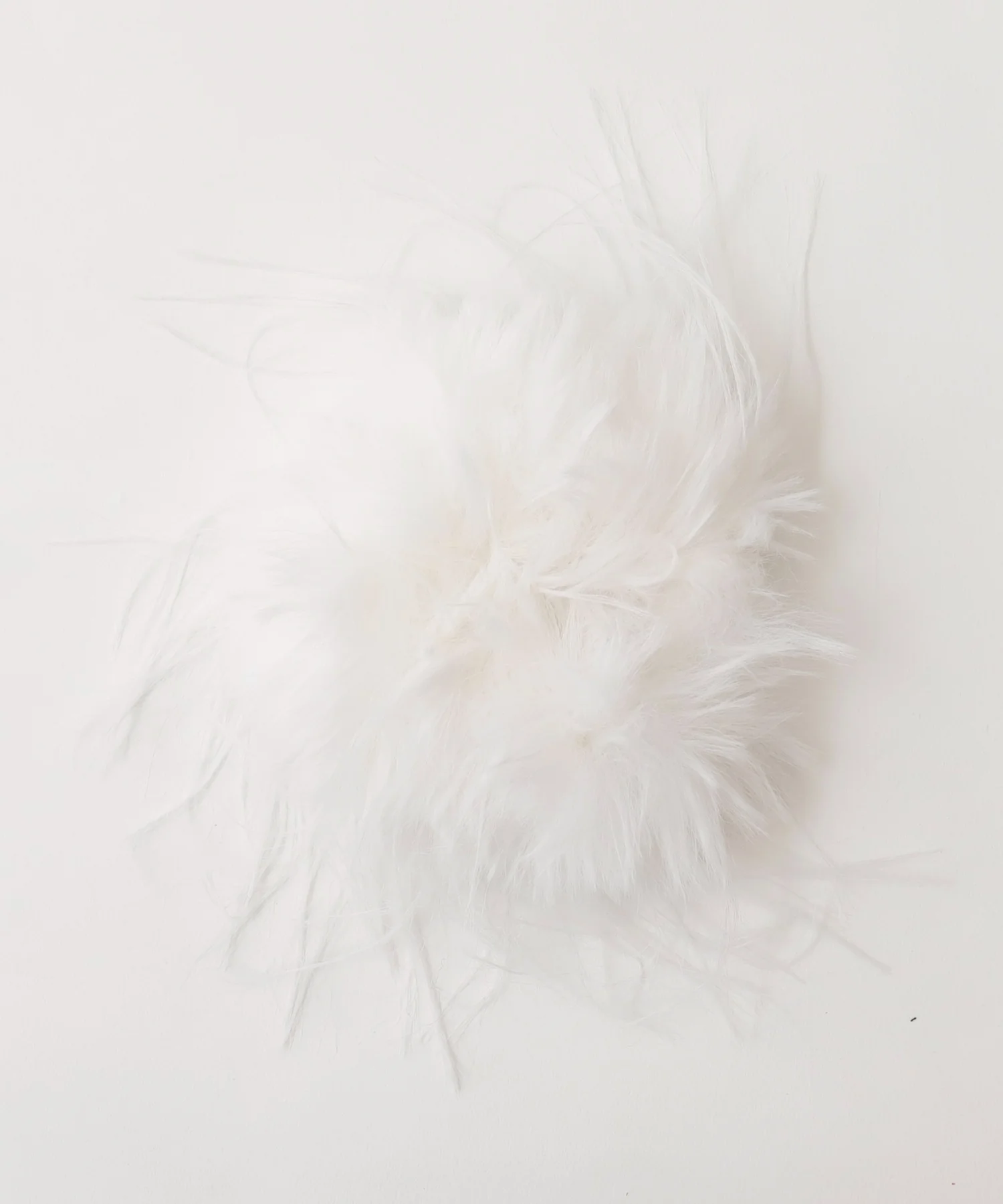 Lファーシュシュ - Image 8