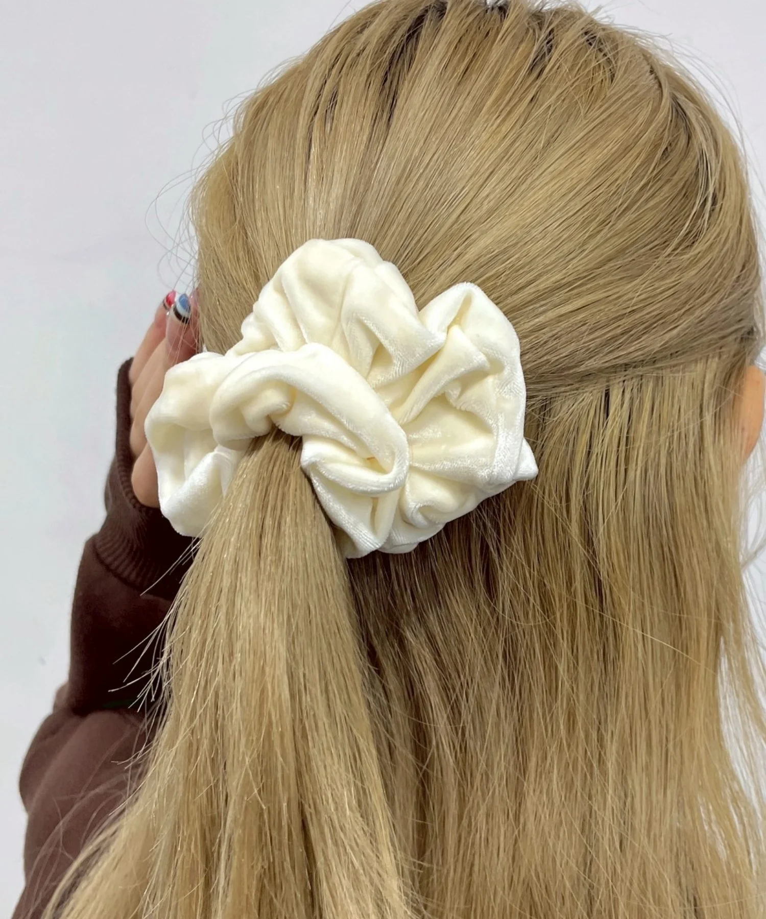 Lベロアシュシュ - Image 8