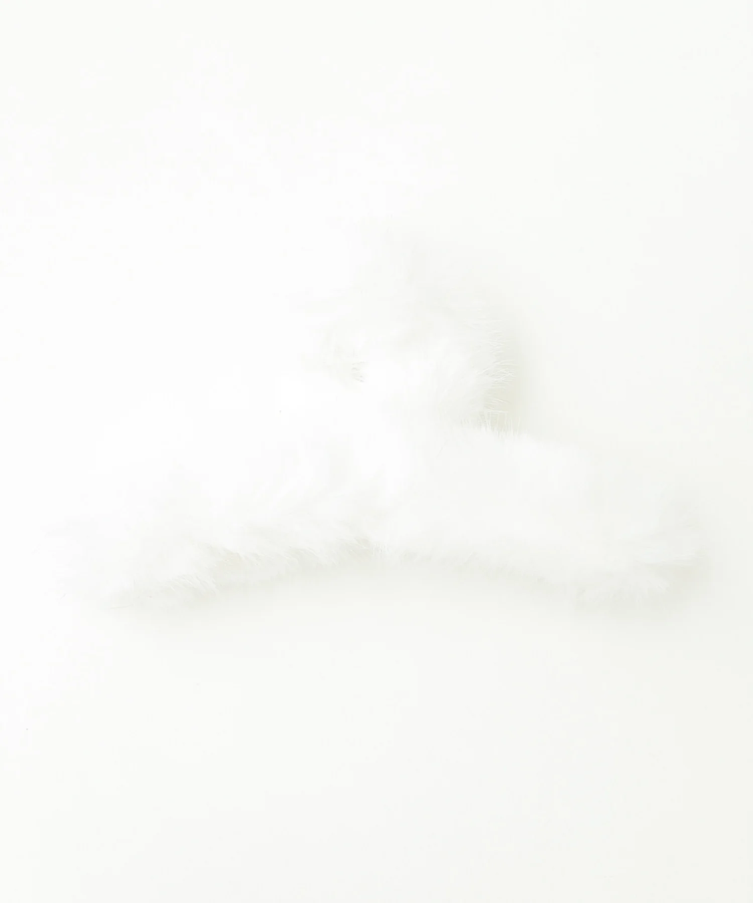 Lファーバンス - Image 13