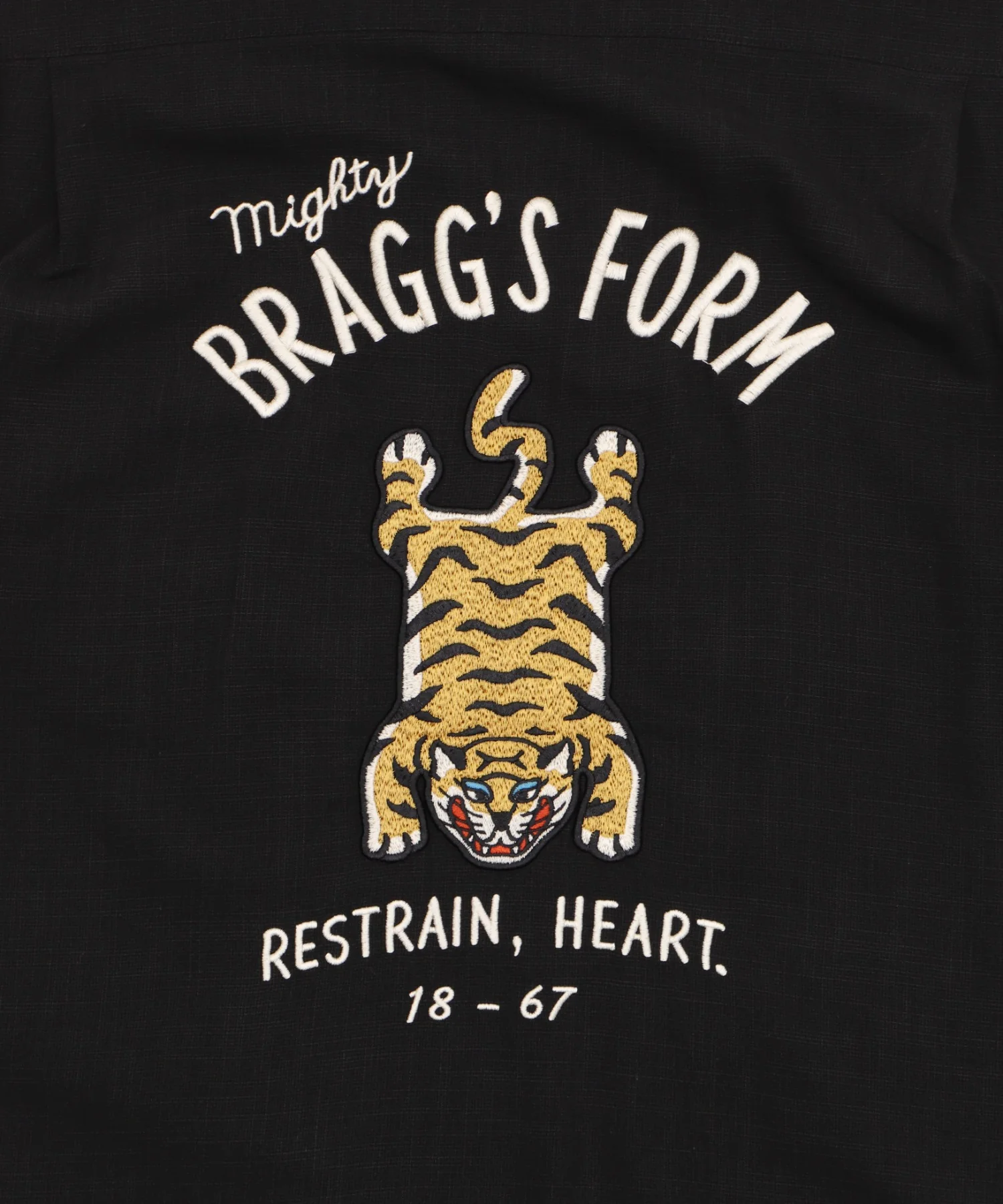 アサライクTIGERシシュウシャツ - Image 22