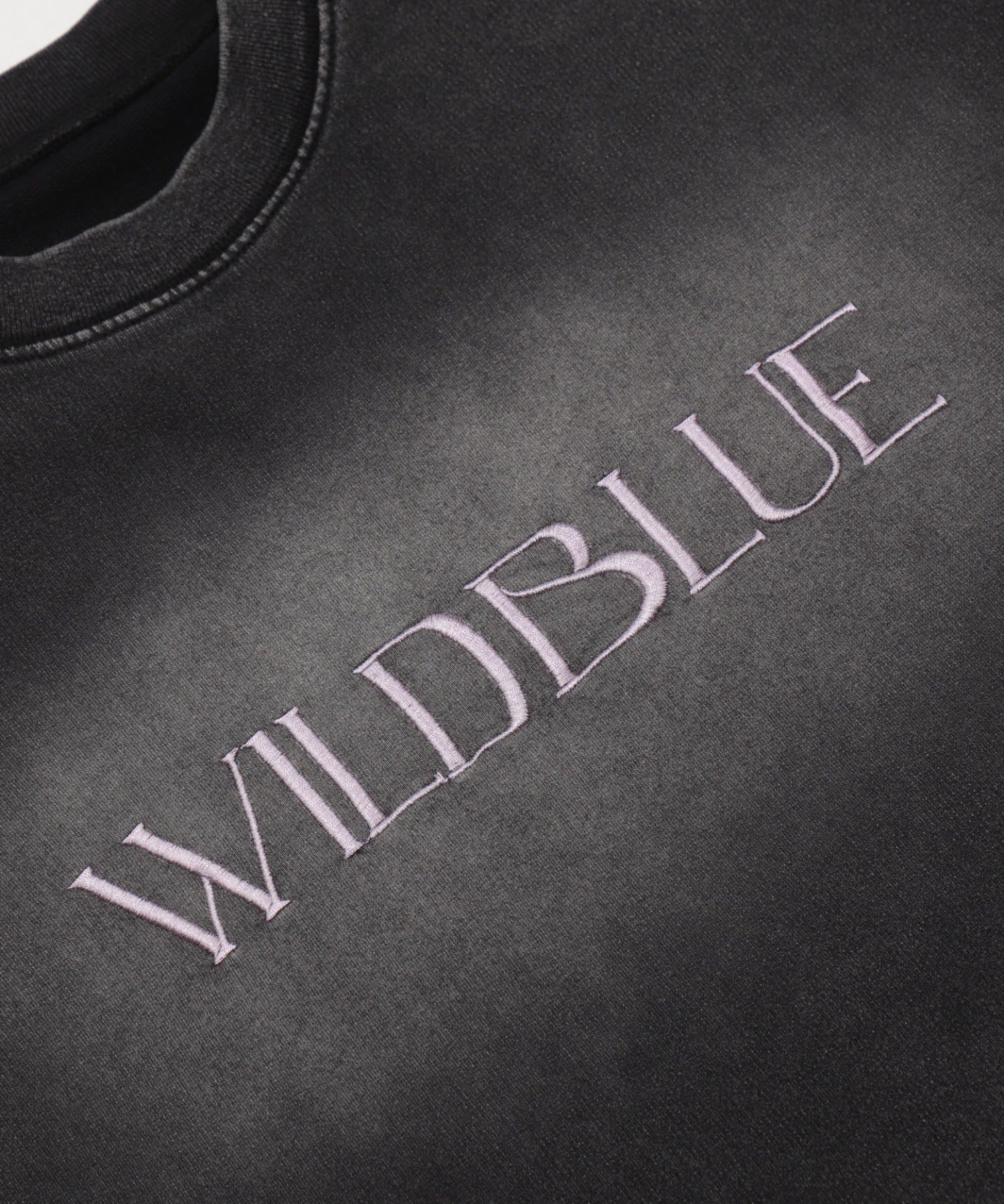 WILD BLUE　グラフィックブリーチTシャツ - Image 11