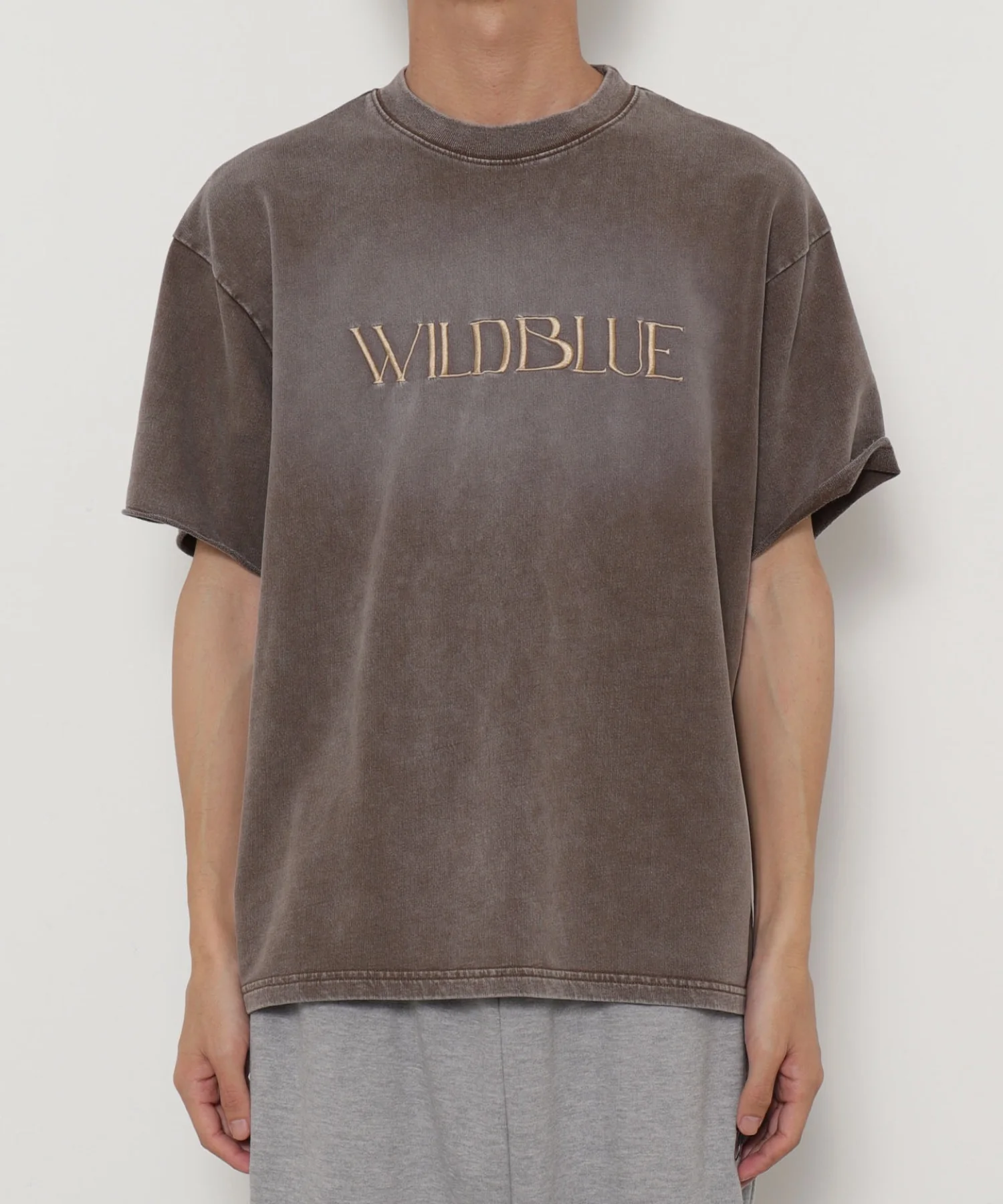 WILD BLUE　グラフィックブリーチTシャツ - Image 16