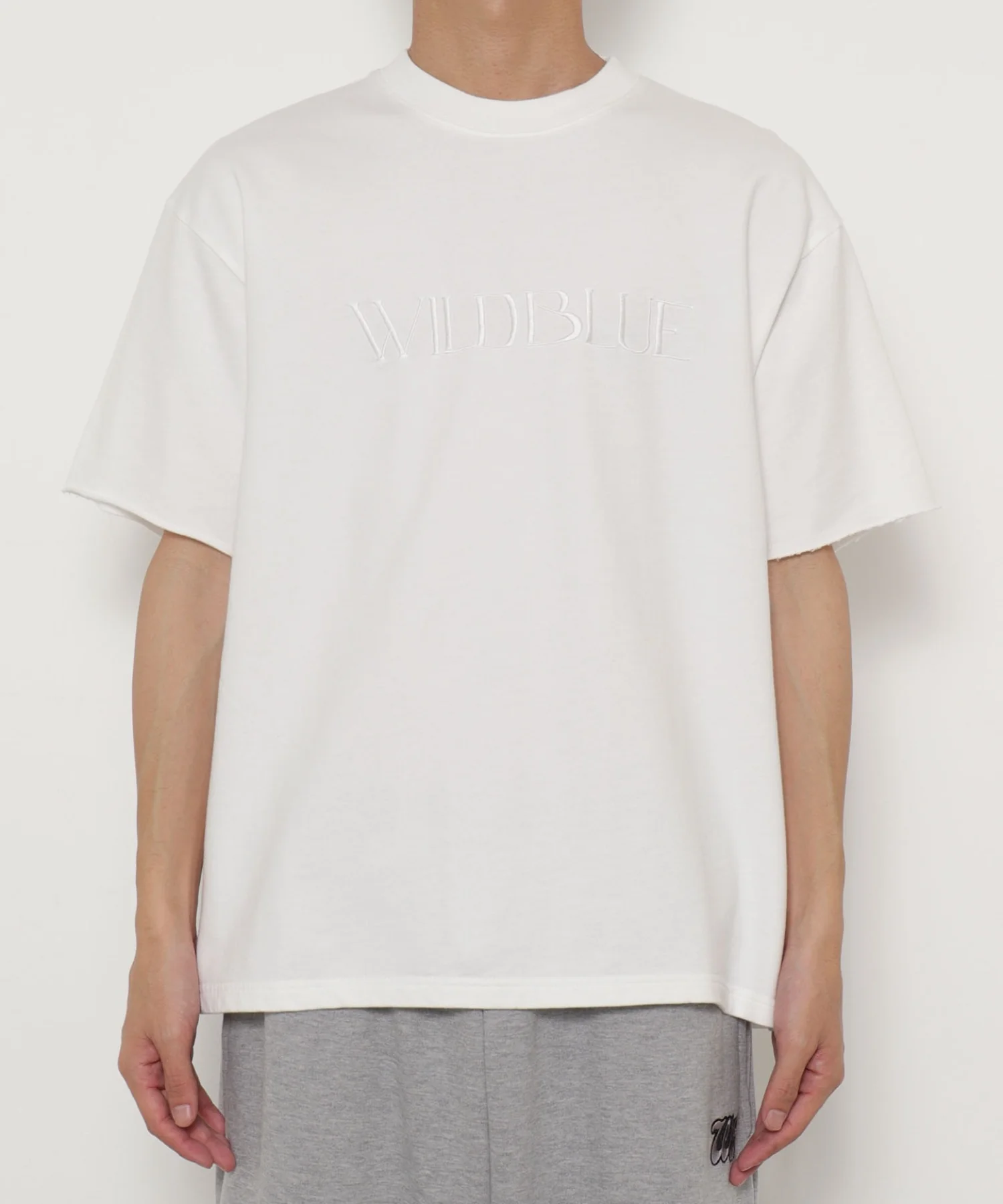 WILD BLUE　グラフィックブリーチTシャツ - Image 22
