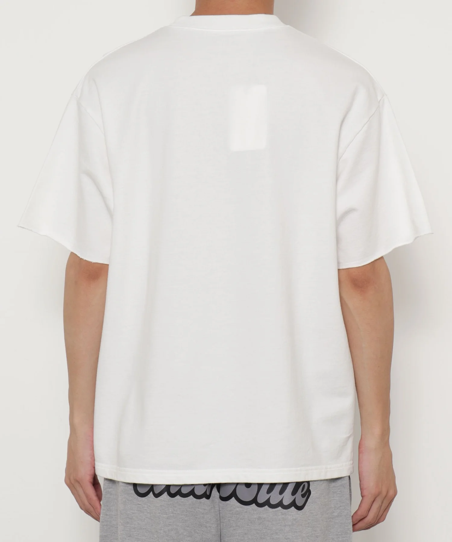 WILD BLUE　グラフィックブリーチTシャツ - Image 24