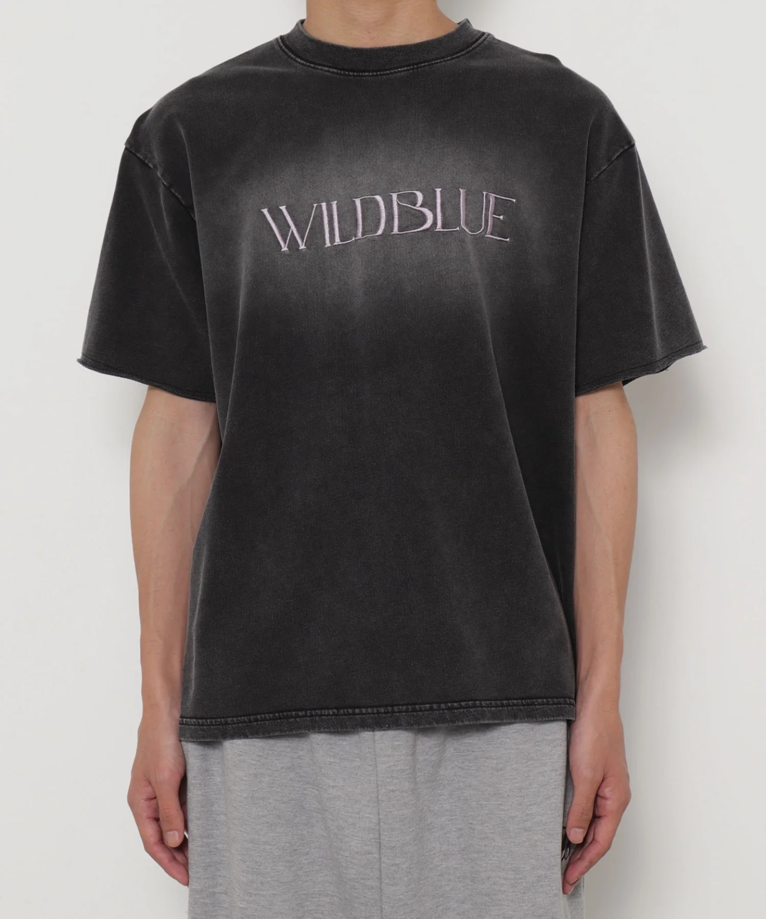 WILD BLUE　グラフィックブリーチTシャツ - Image 28