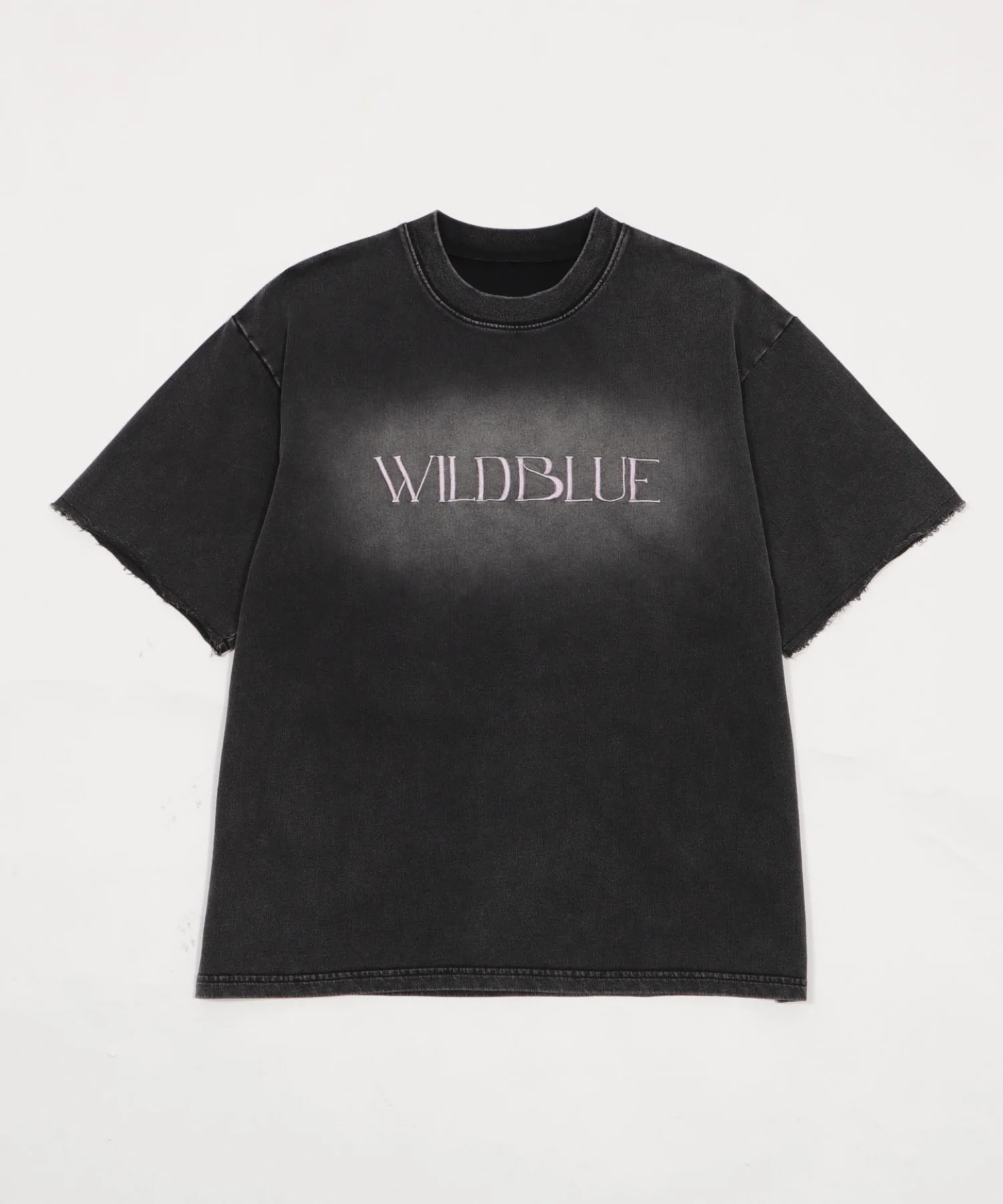 WILD BLUE　グラフィックブリーチTシャツ - Image 4