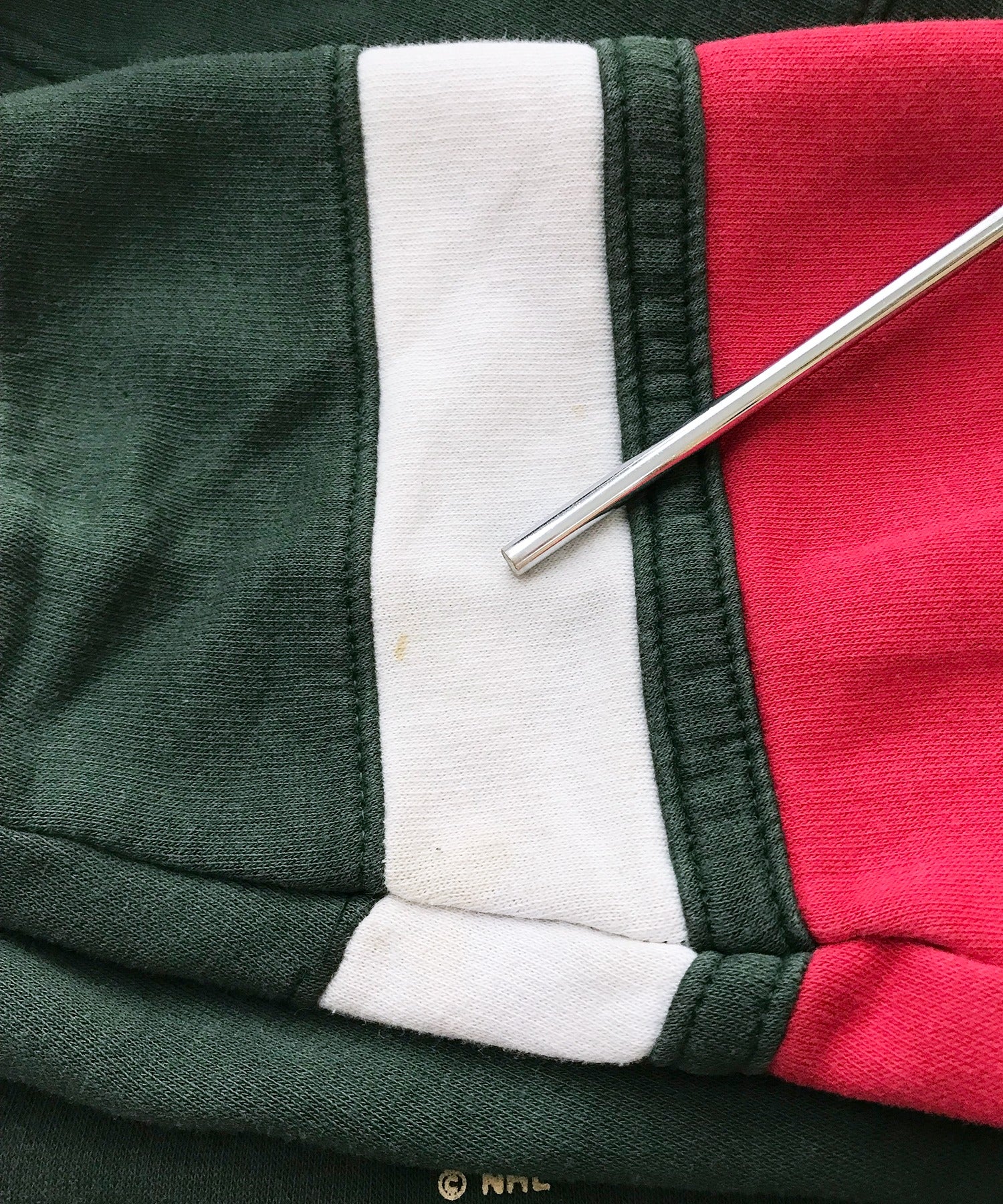 チャンピオンスウェット チームロゴ パーカー MINNESOTA WILD HOCKEY - Image 5