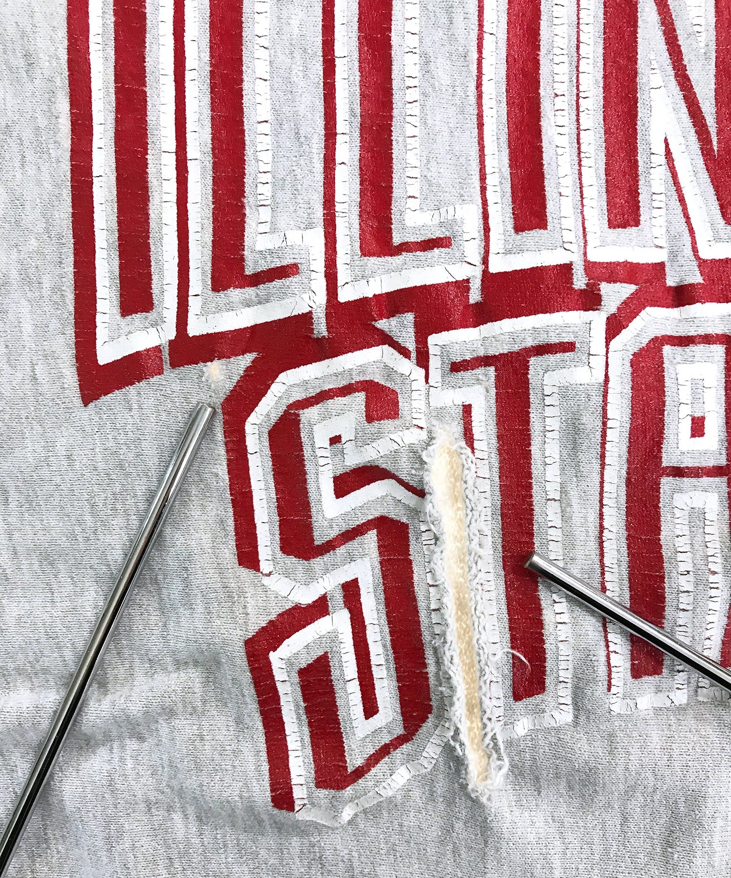 Champion リバース ILLINOIS STATE - Image 5