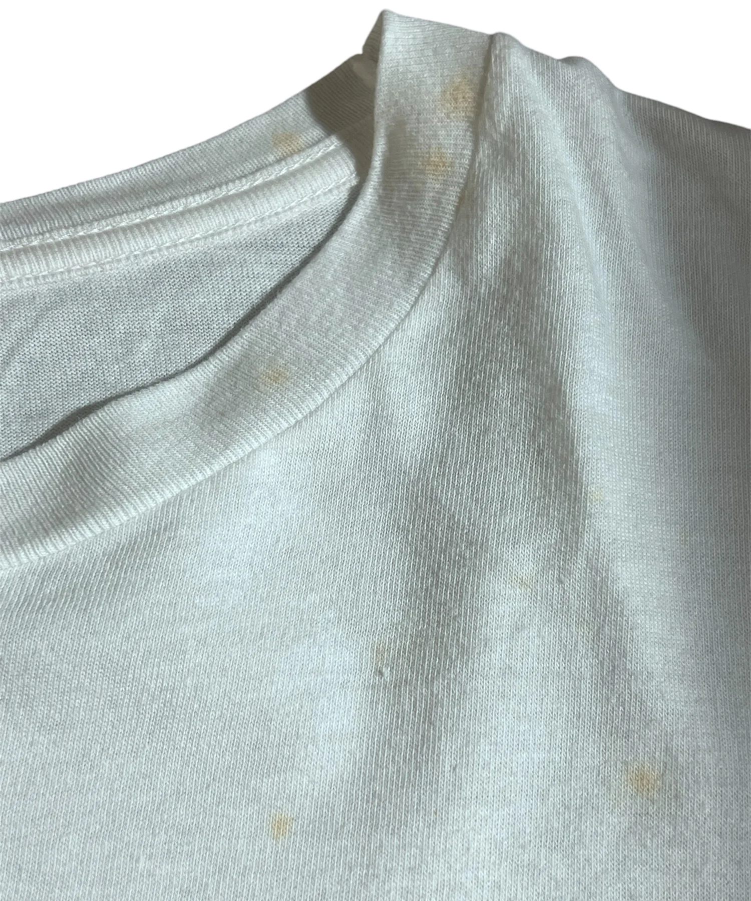 MORRISSEYTシャツ - Image 8