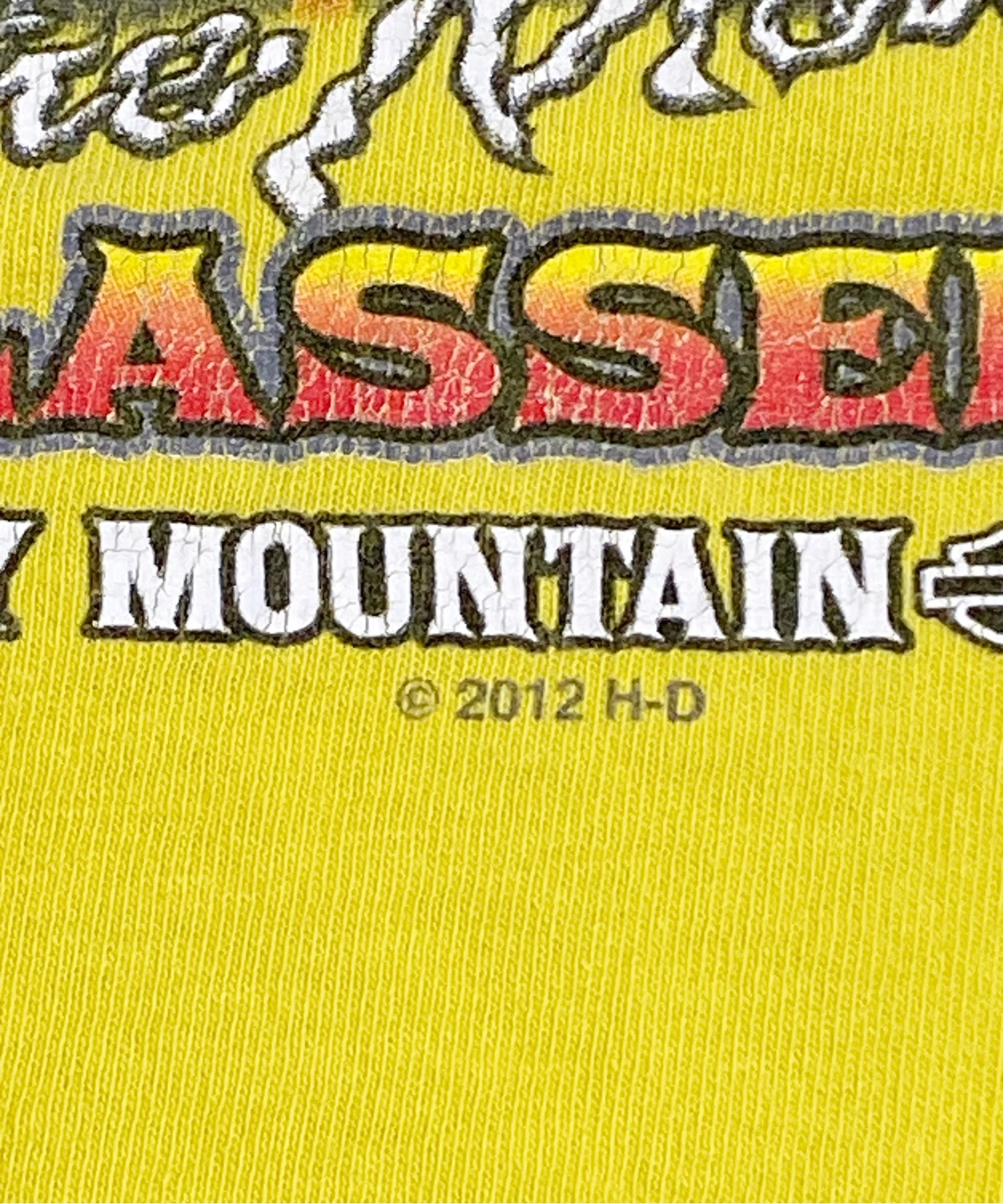HARLEY-DAVIDSON Tシャツ - Image 6