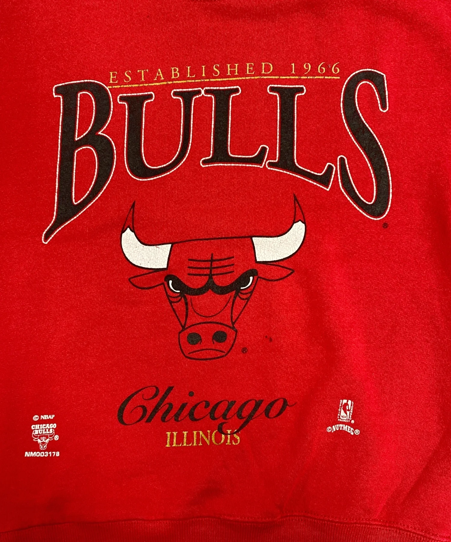 CHICAGO BULLS チームロゴスウェット - Image 5
