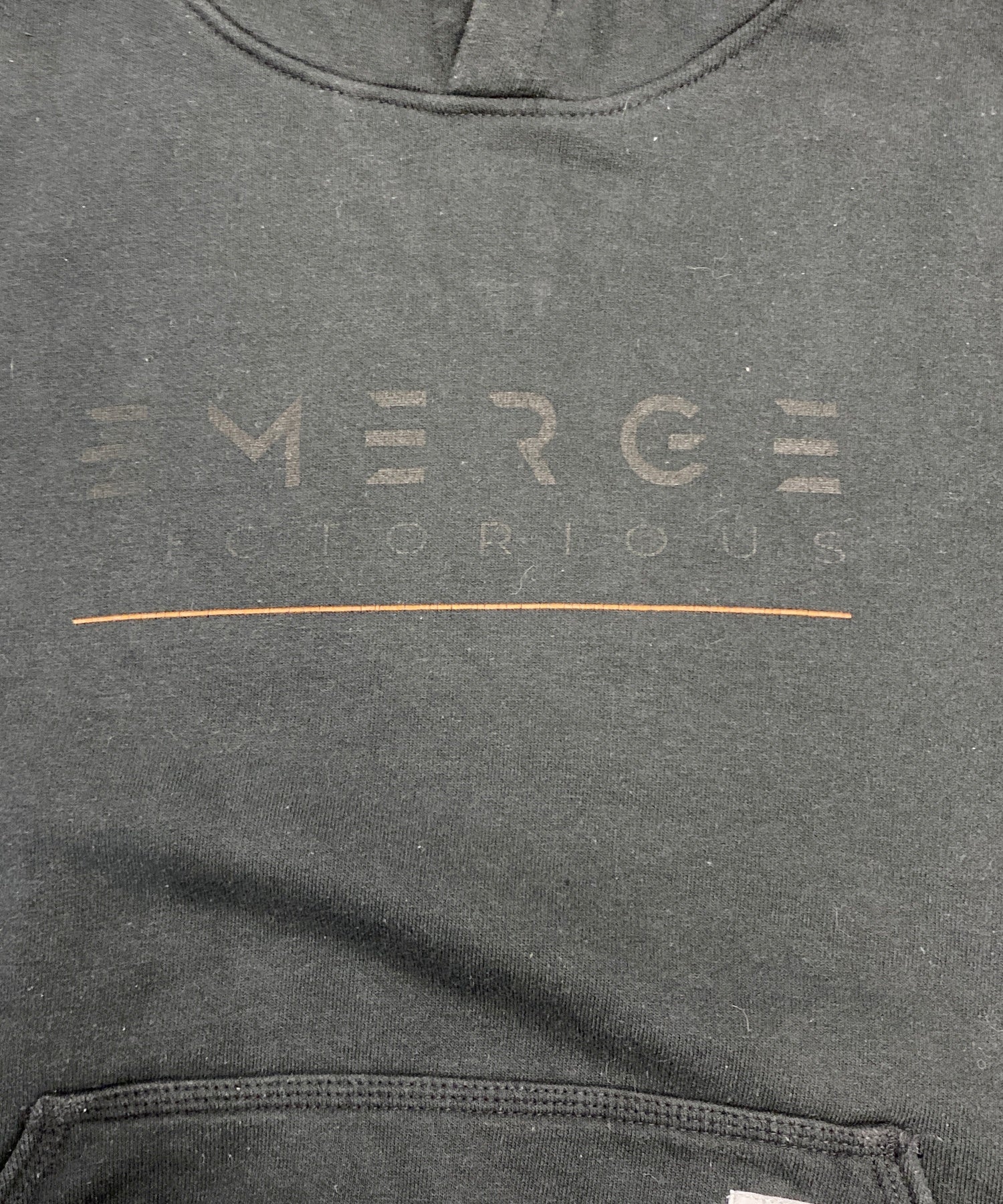 Carhartt スウェット - Image 4