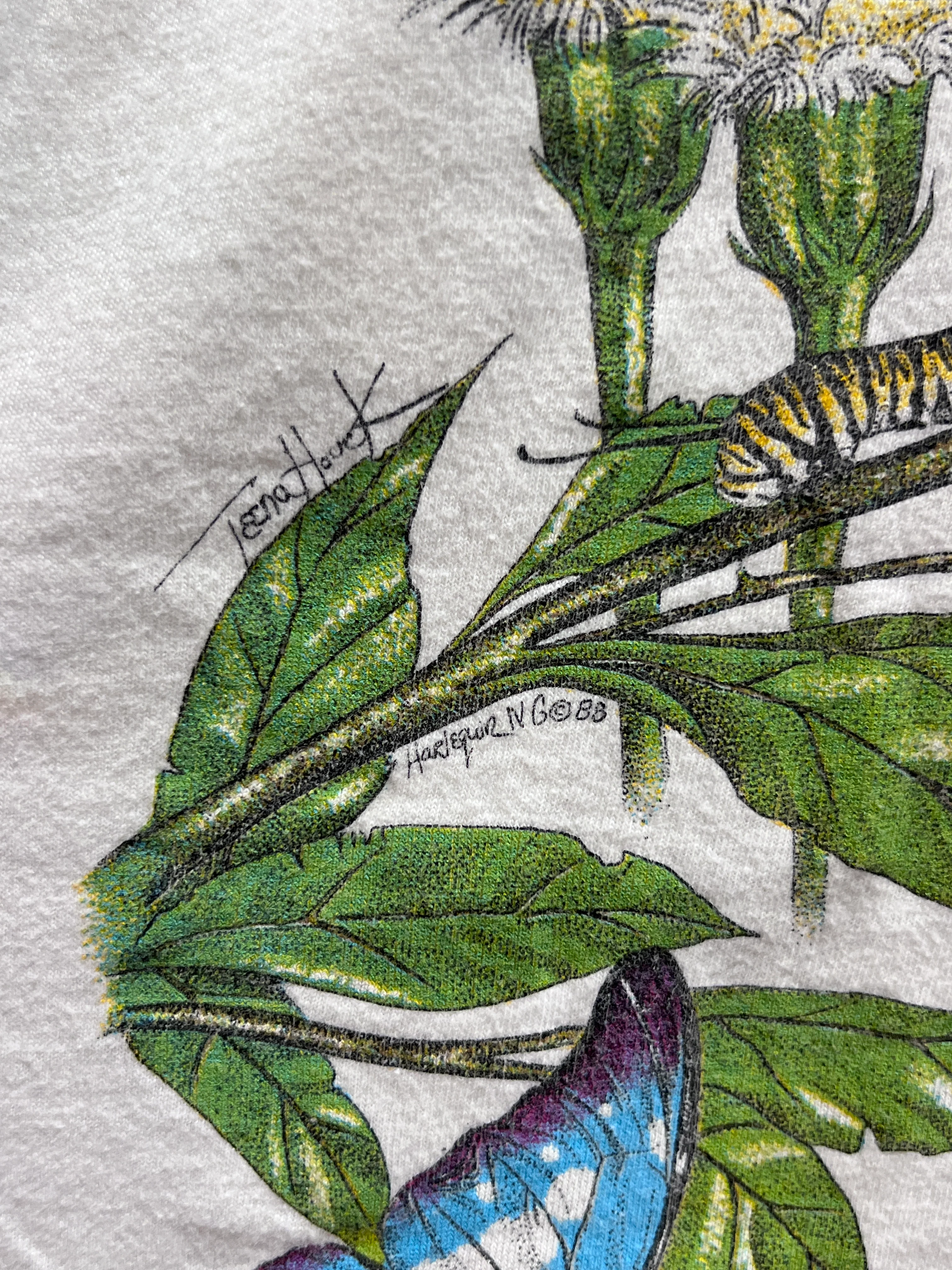 昆虫Tシャツ - Image 6