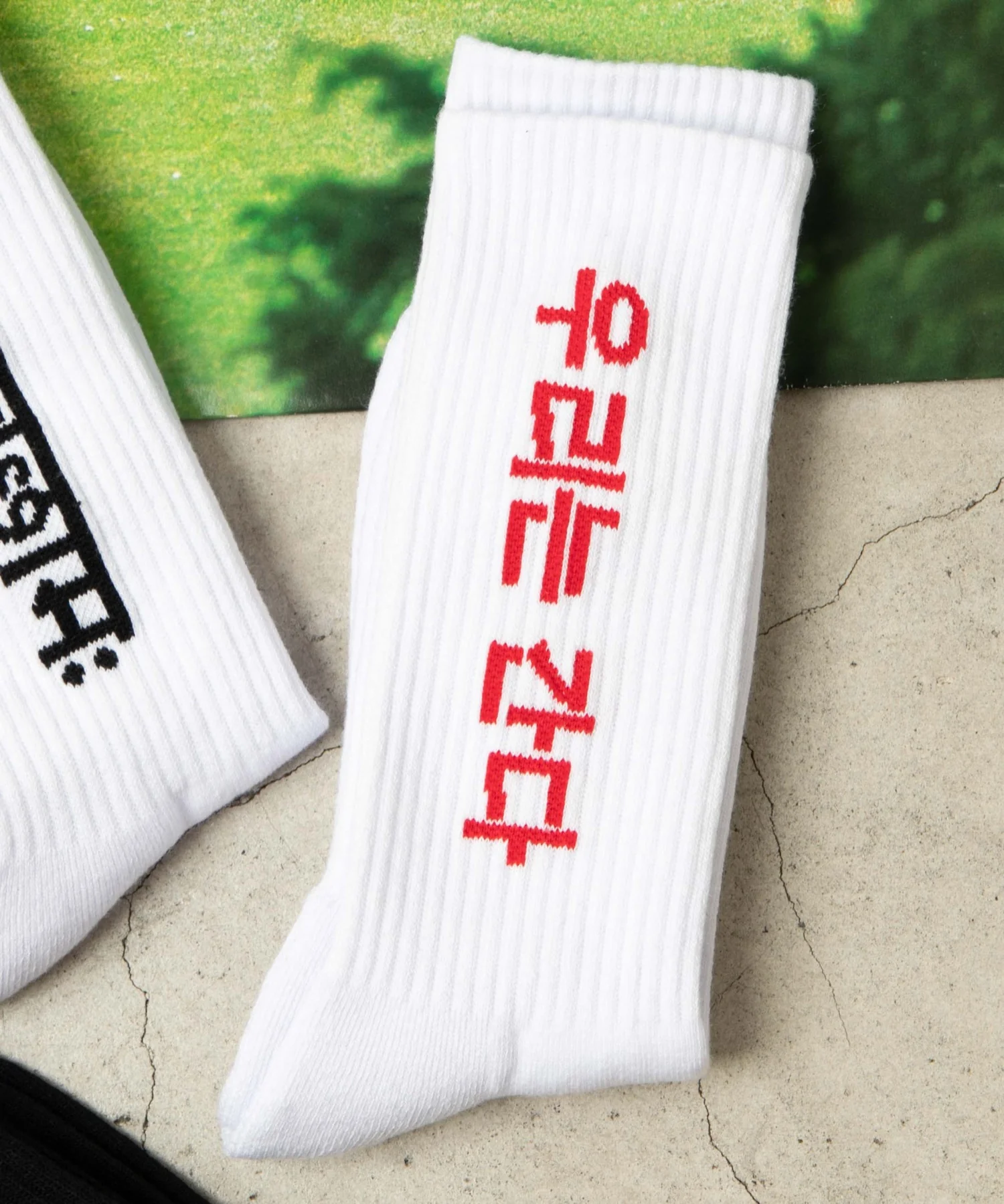 ロゴソックス（R）(25-27cm) - Image 12