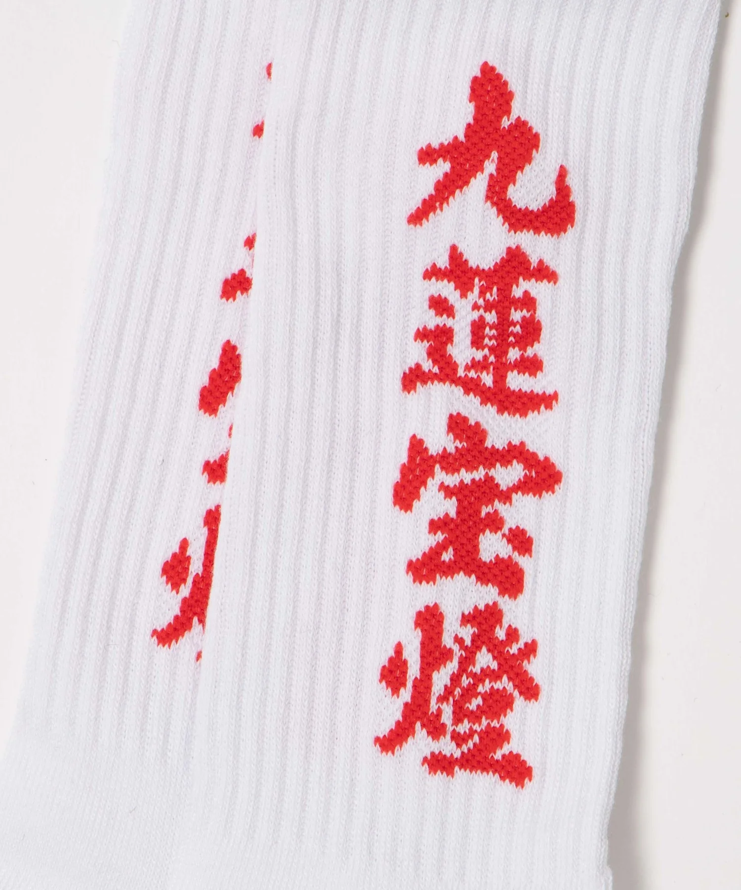 ロゴソックス（R）(25-27cm) - Image 48