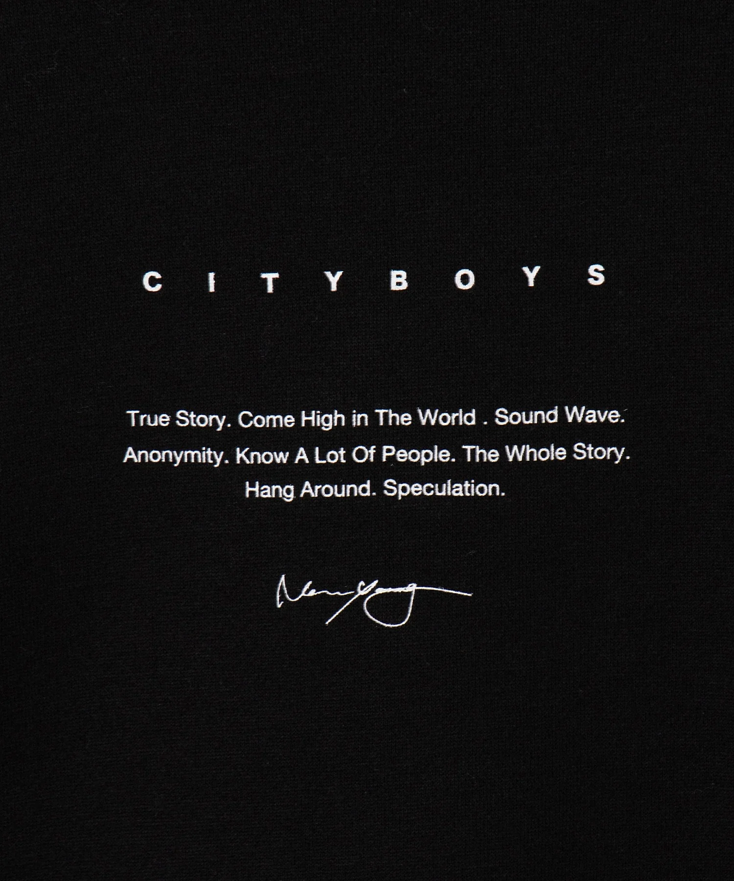CITYBOYSプルオーバー - Image 22