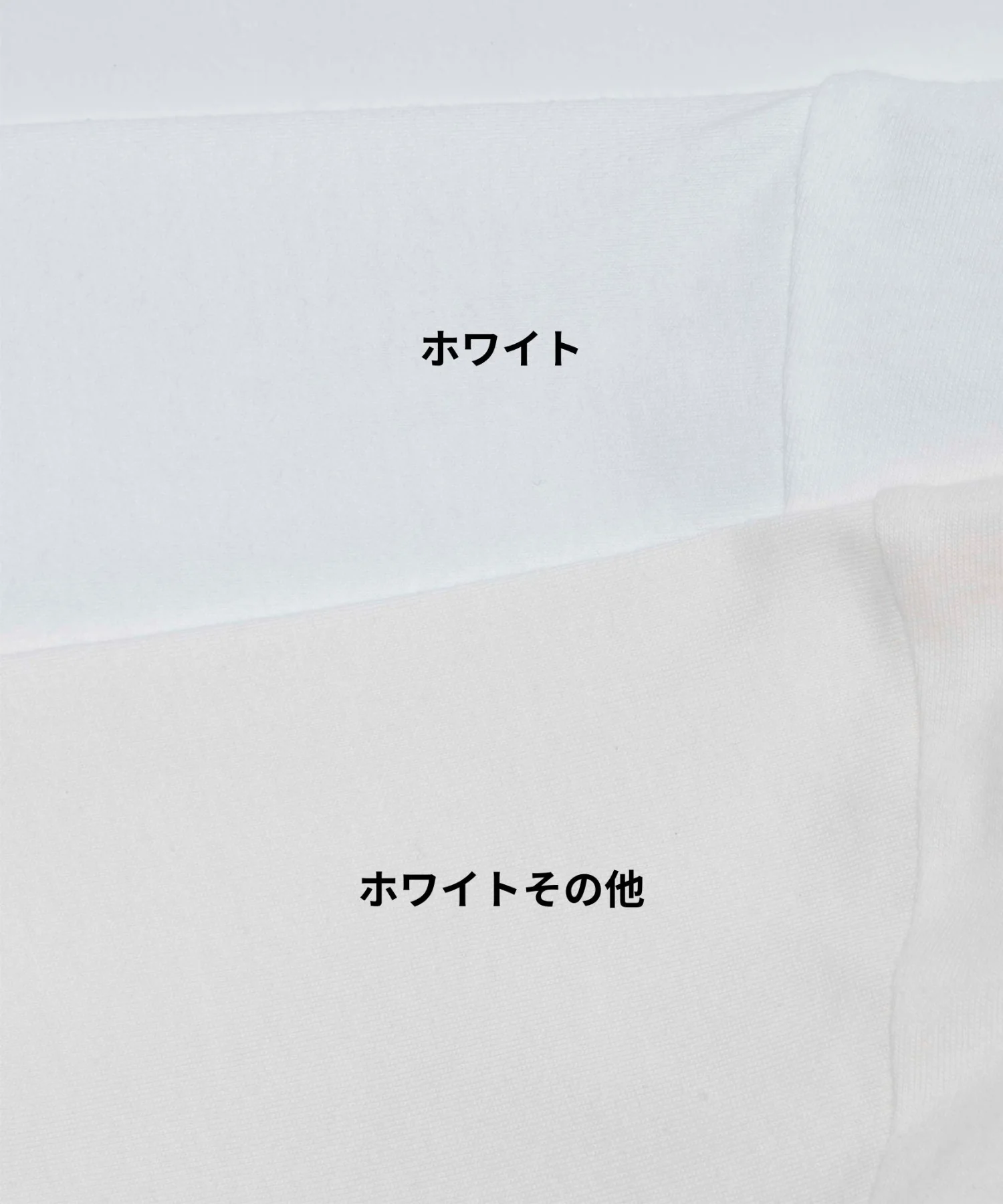 ビックコットンT - Image 97