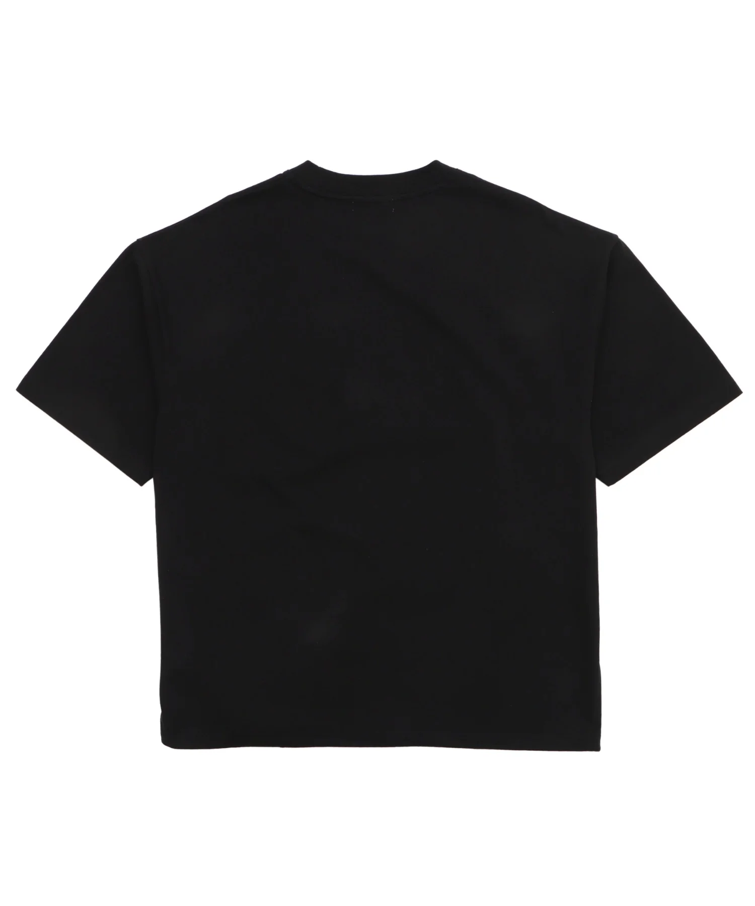 ワッペンロゴドロストBIG　T（SS） - Image 50